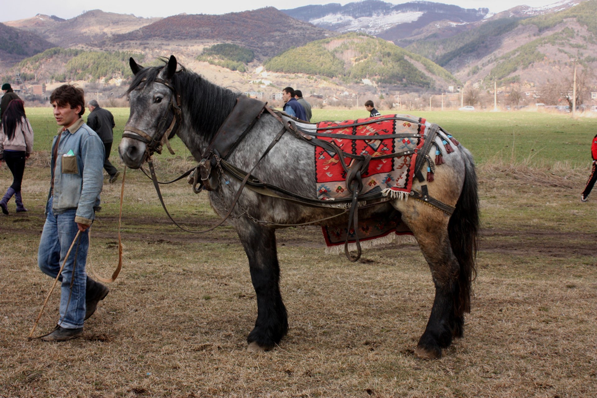 Día de St. Teodoro o Pascua del Caballo