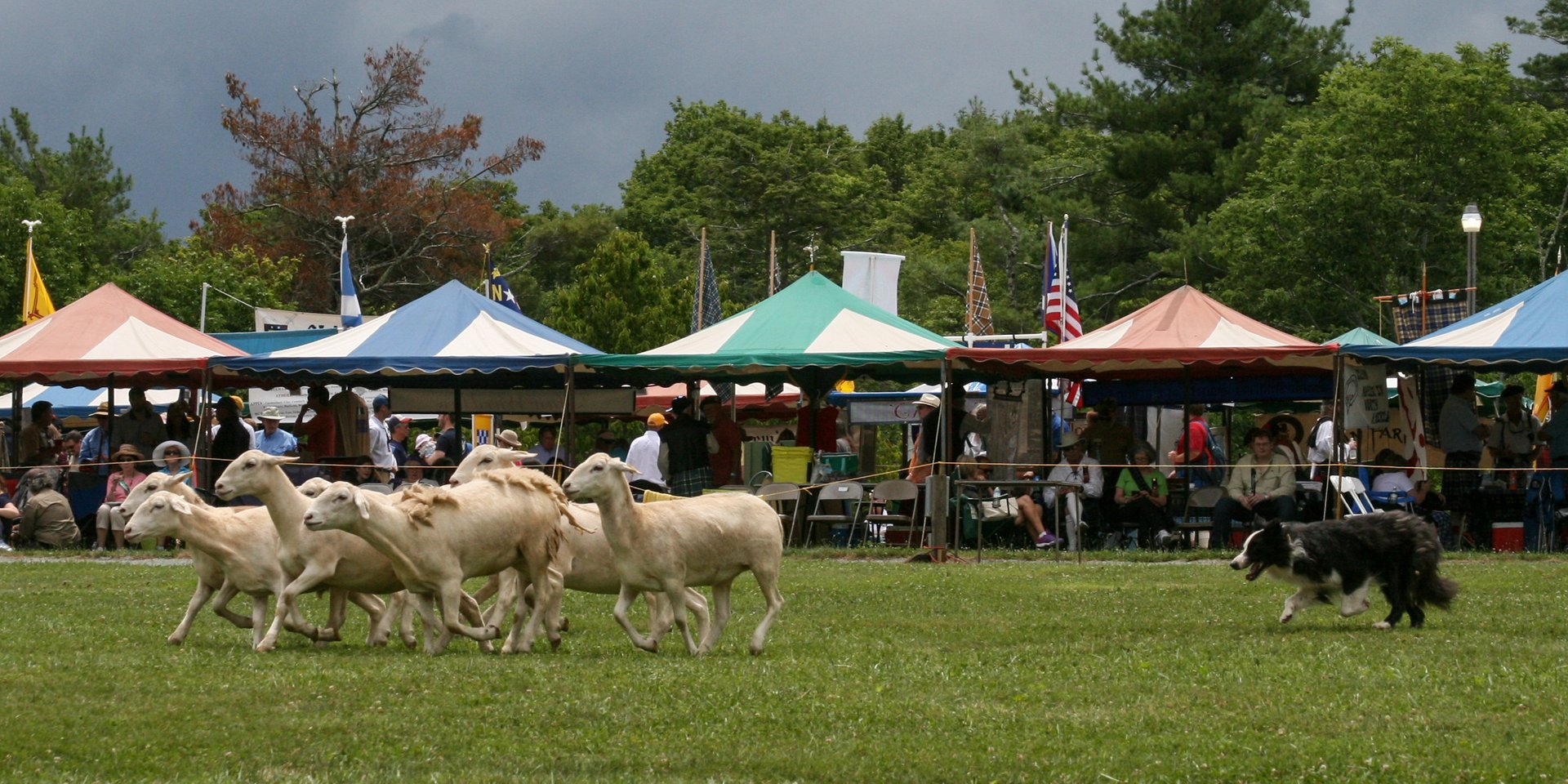 Grandfather Mountain Highland Games 2024 in North Carolina Rove.me