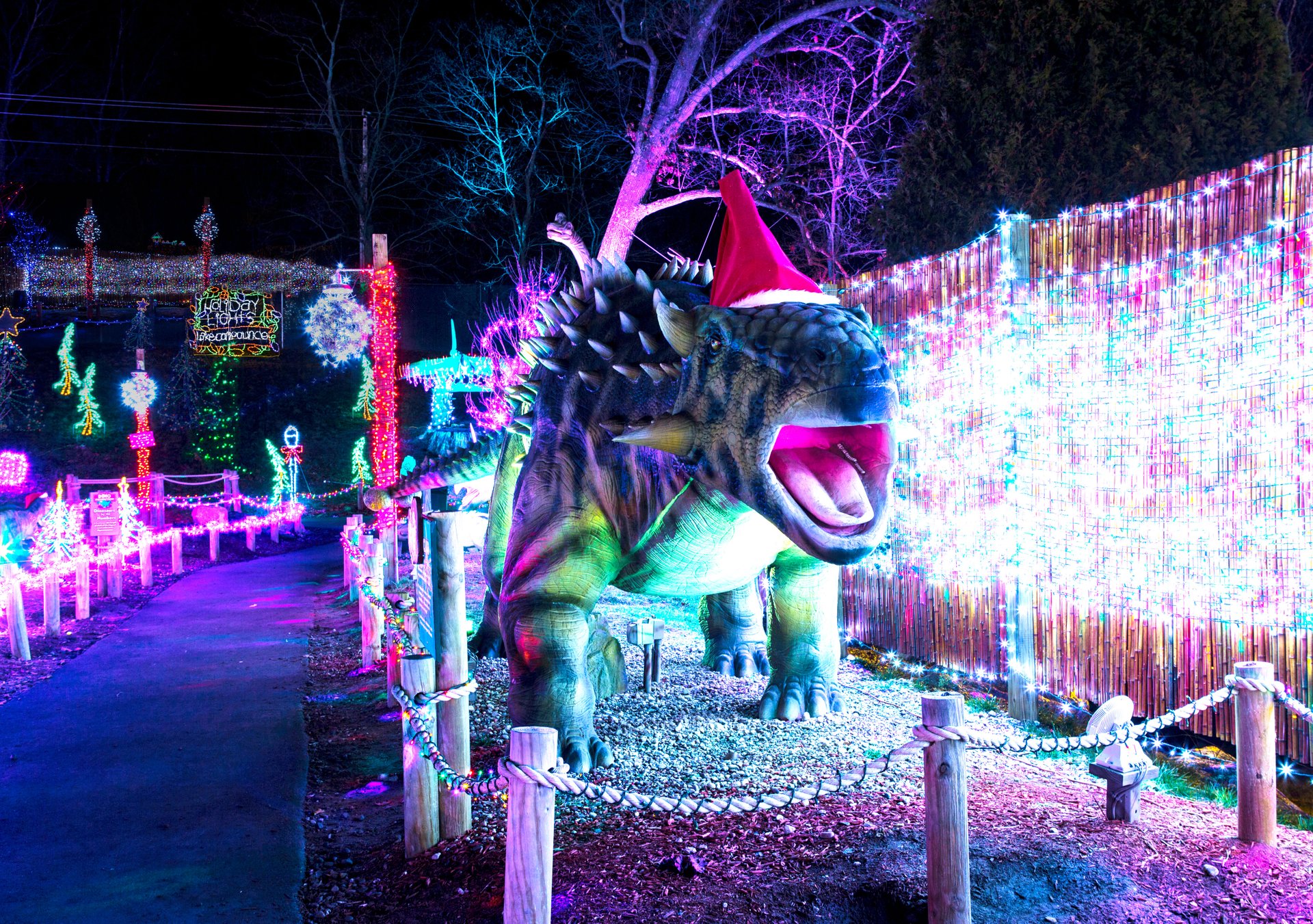 Luzes de Natal