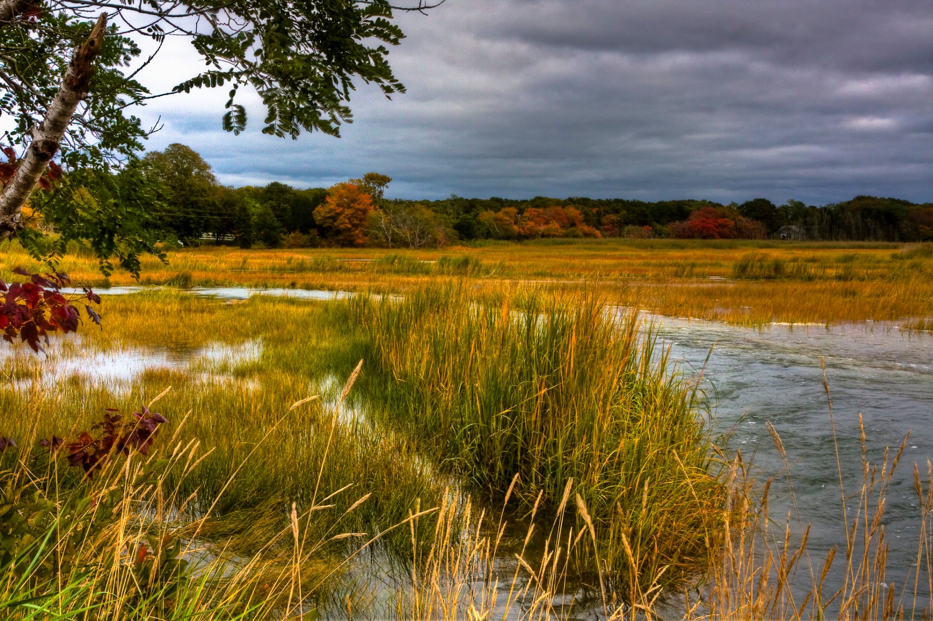 Foliage d'automne de Cape Cod