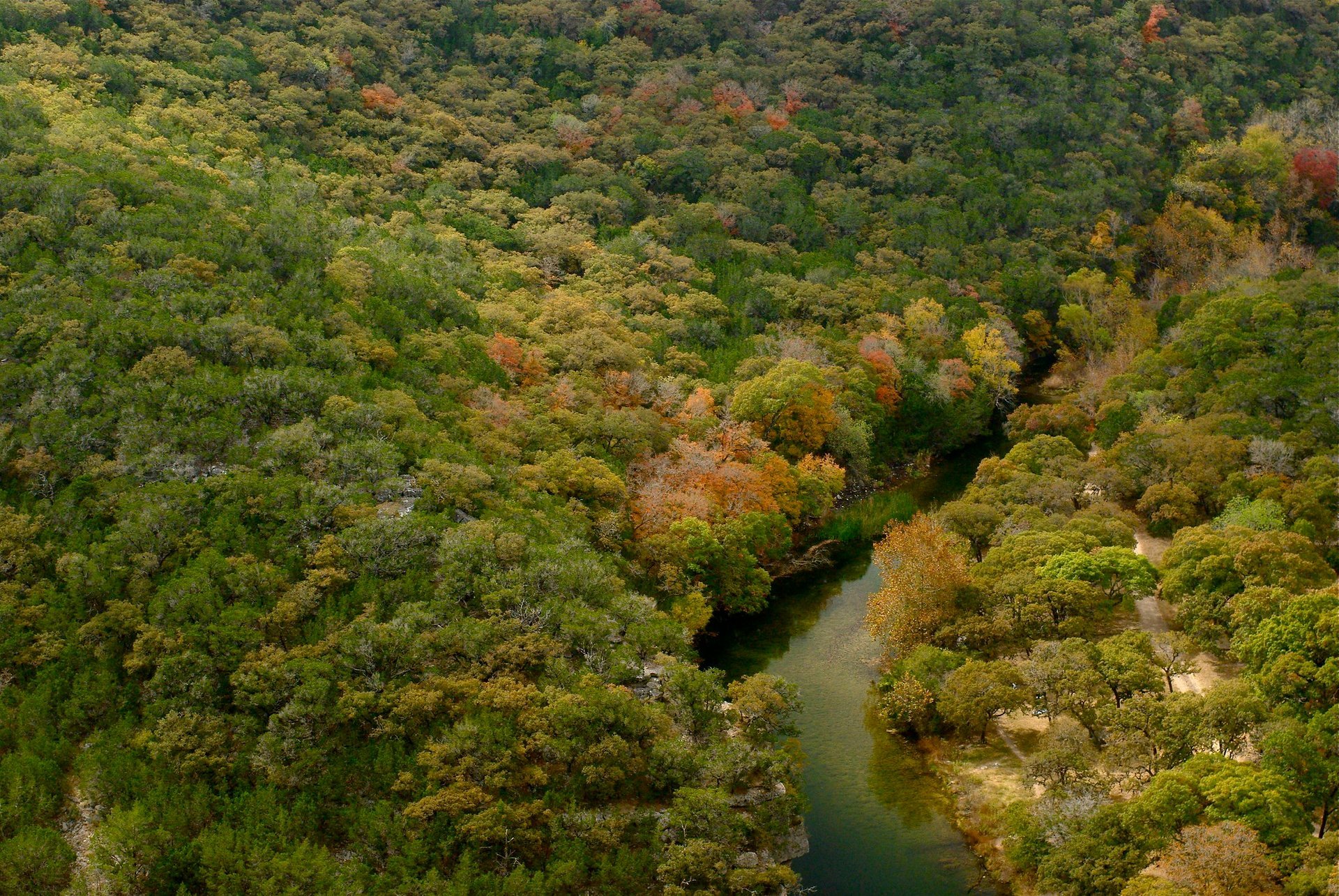 Texas Fall Colors