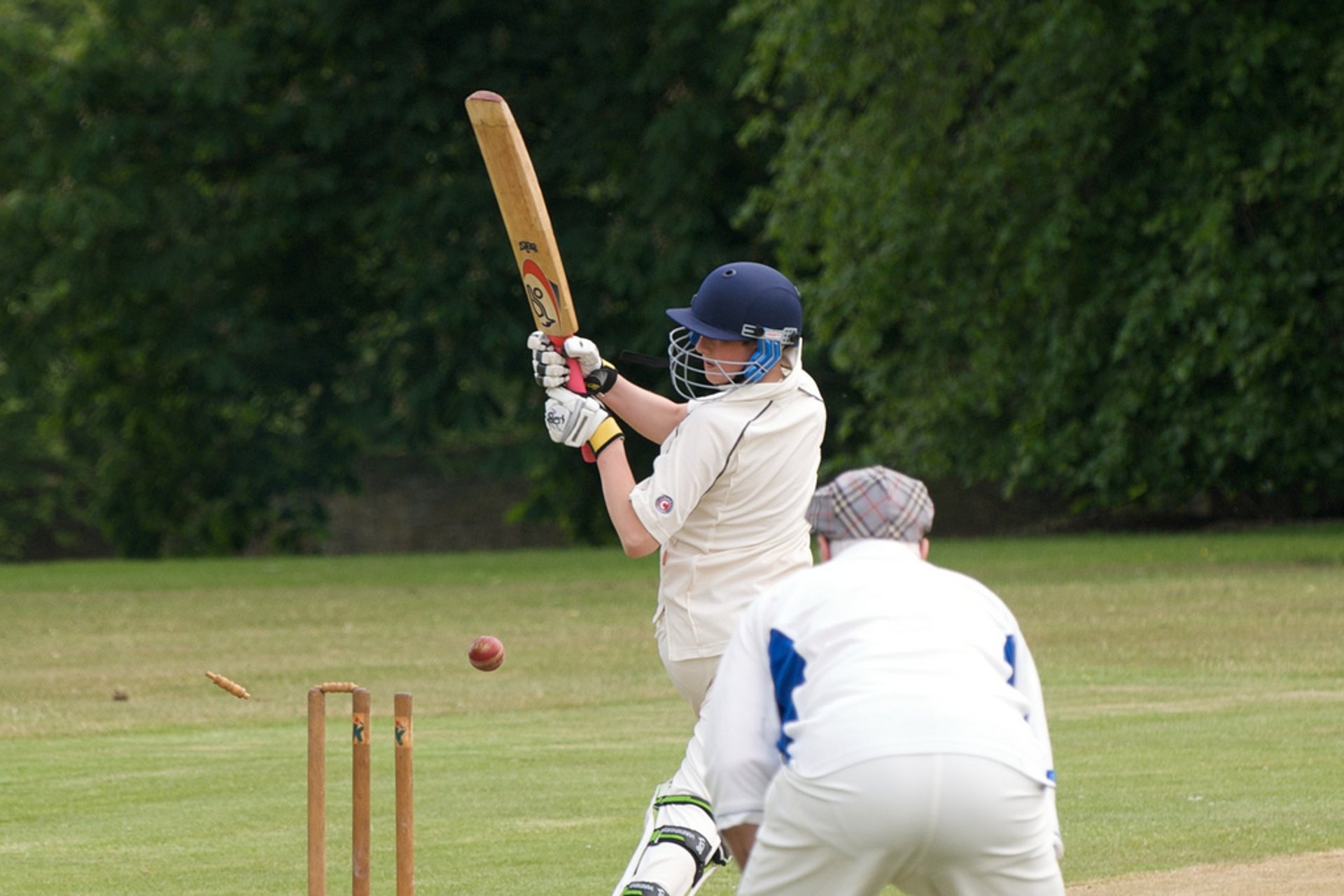 Cricket anglais