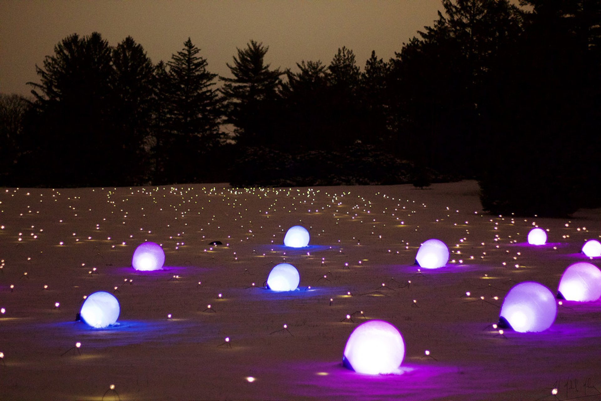 The Morton Arboretum Illumination 20232024 in Chicago Dates