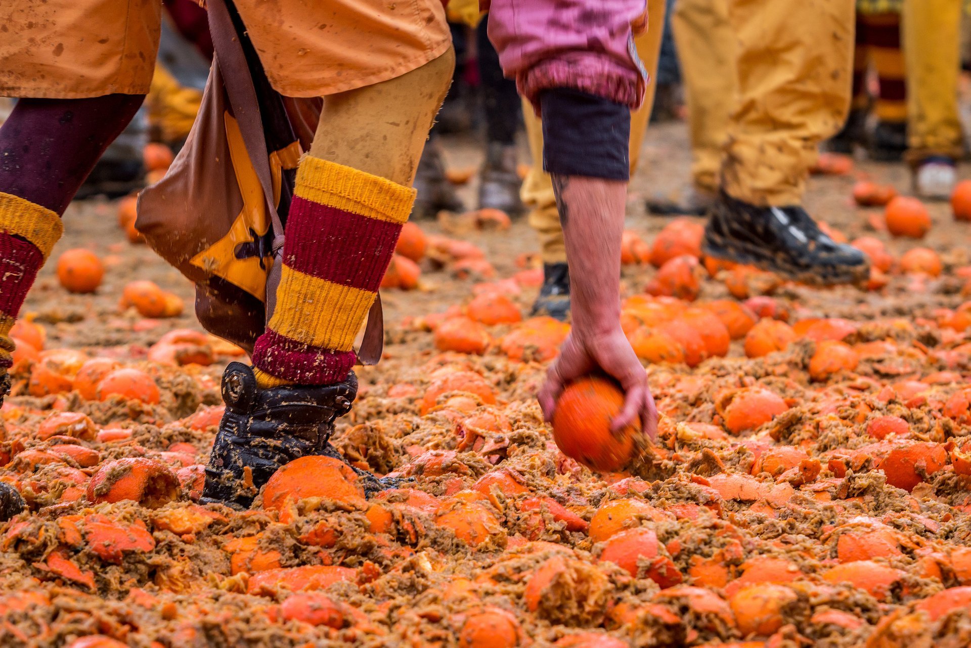 Ivrea Battle of the Oranges