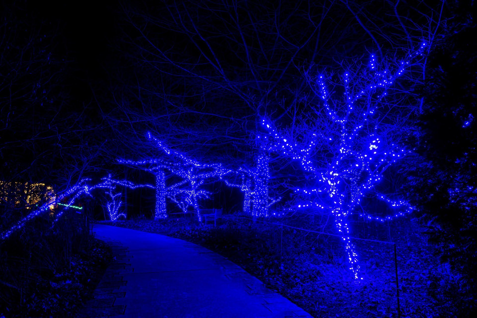 Powell Gardens Festival of Lights