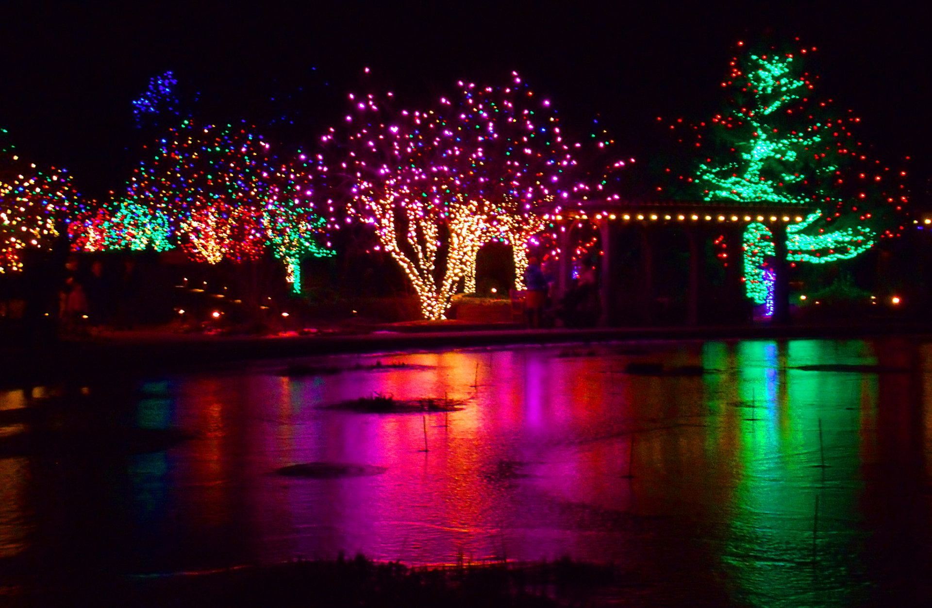 Downtown Littleton Christmas Lighting 2021