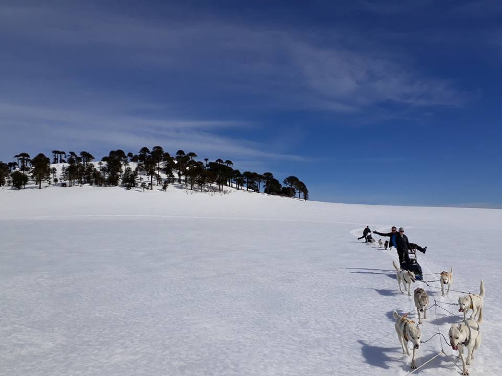 El trineo del perro y el tubo de nieve en Colorado, 2024