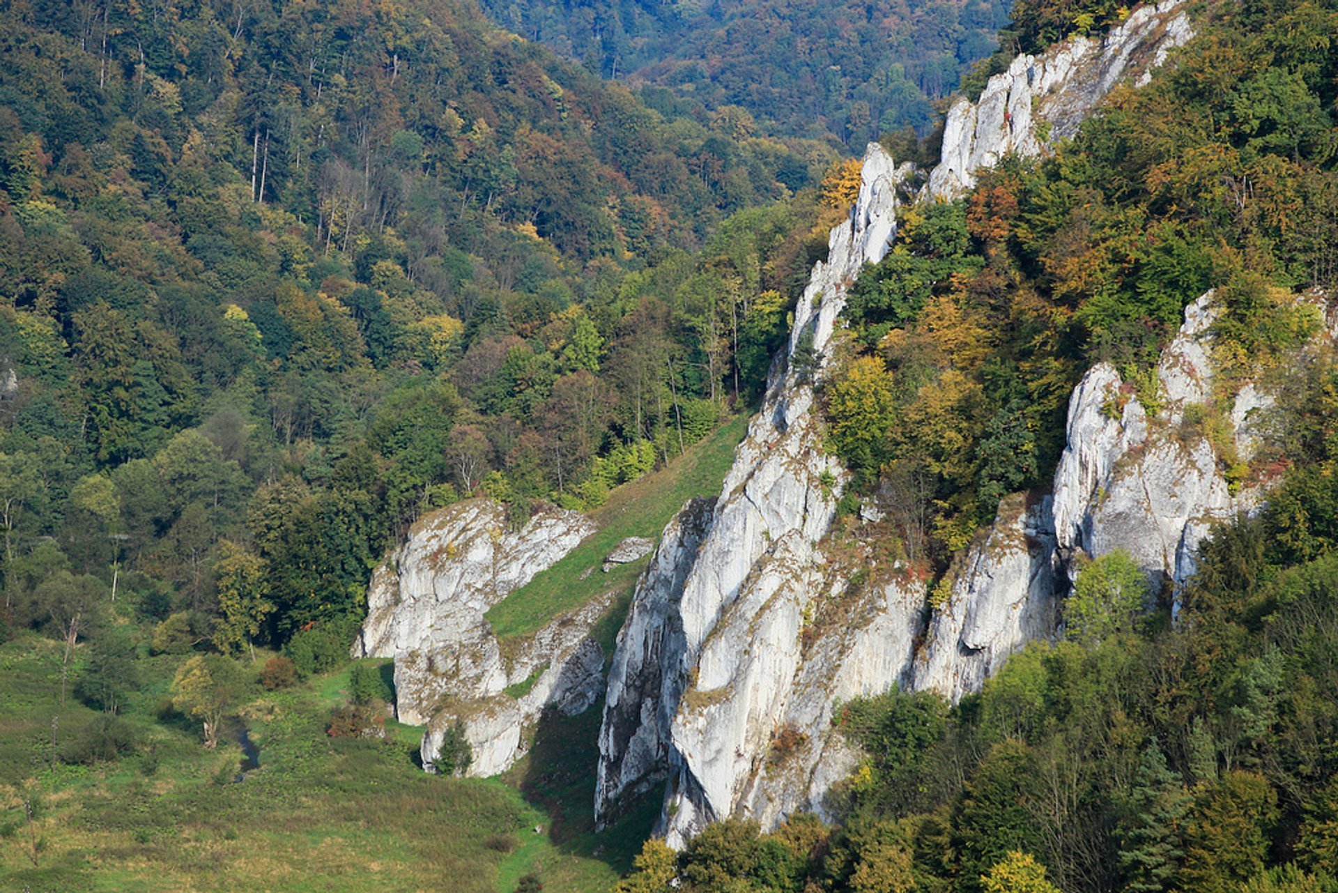 Randonnée pédestre dans le parc national d'Ojców