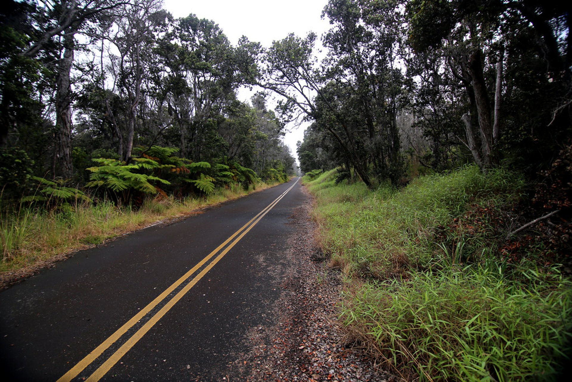 Crater Rim Drive