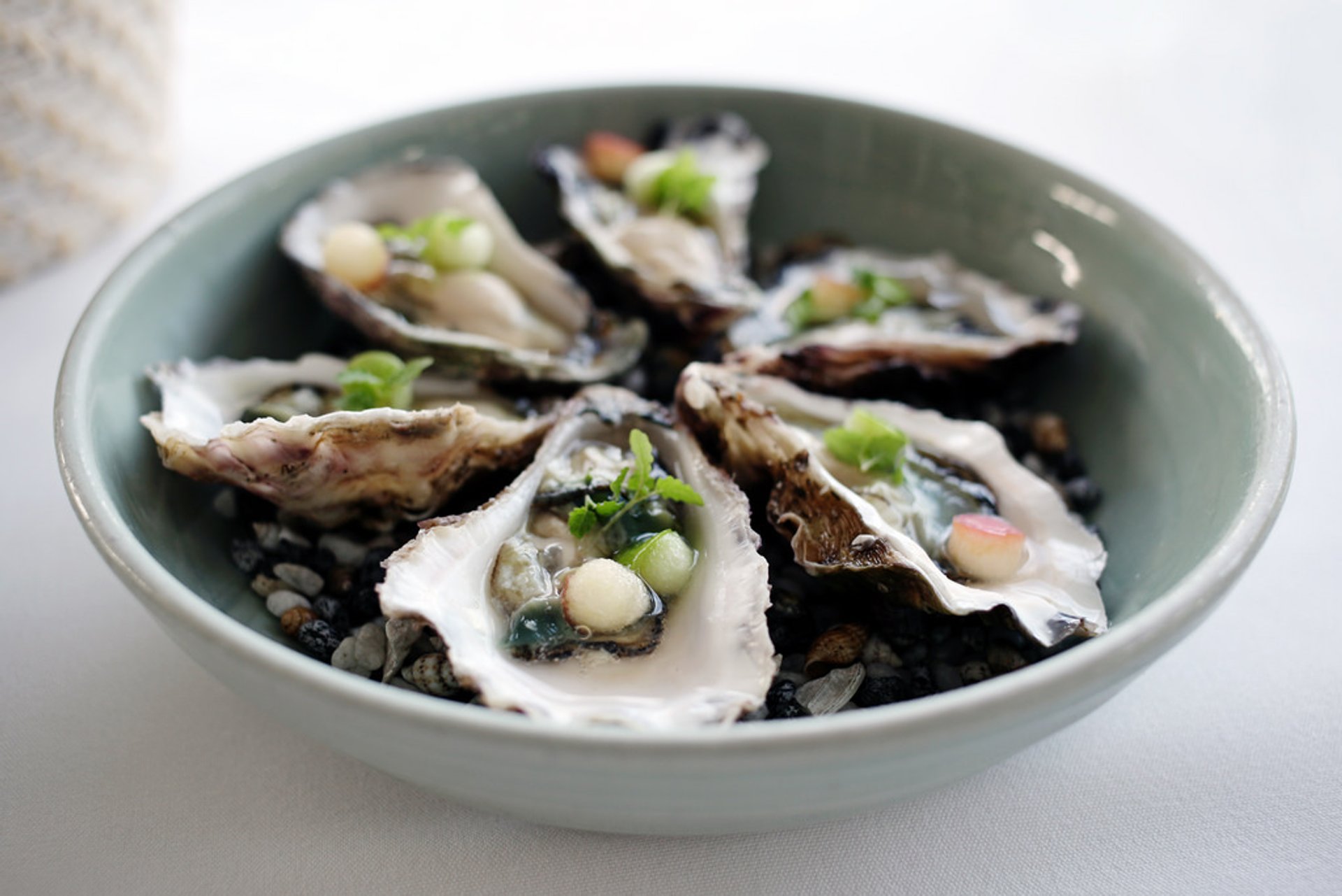 Oyster de la roca de Sydney