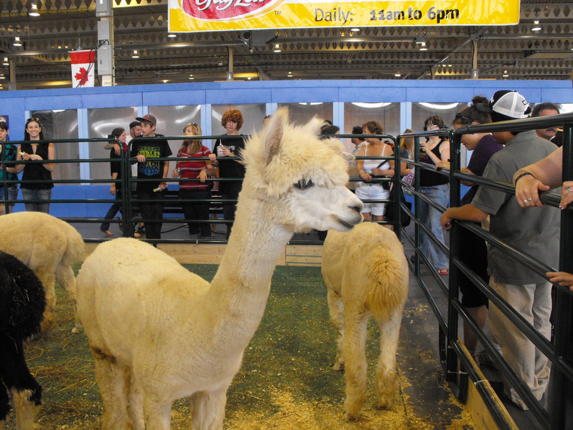 Nationale Ausstellung in Kanada