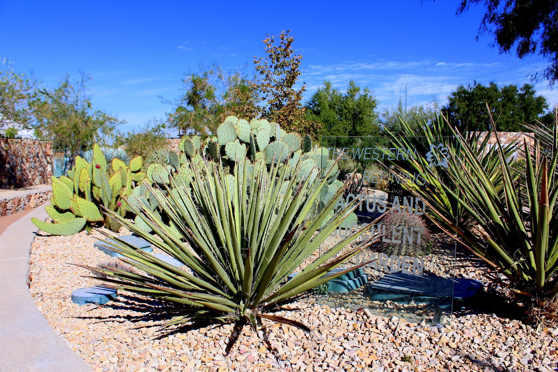 Using Keystone Species in the Midwestern Garden 