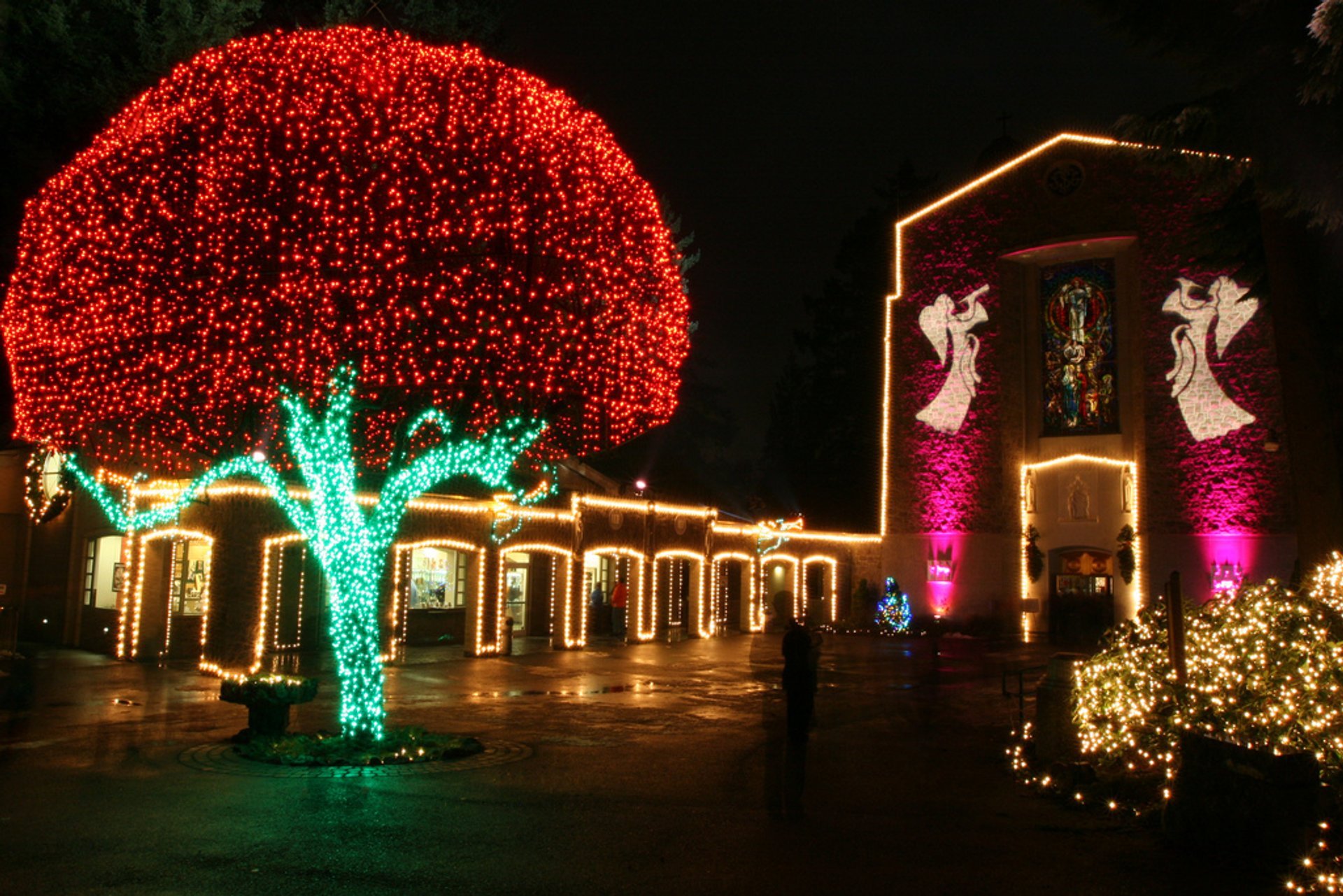 The Grotto’s Christmas Festival of Lights 2023 in Portland Rove.me