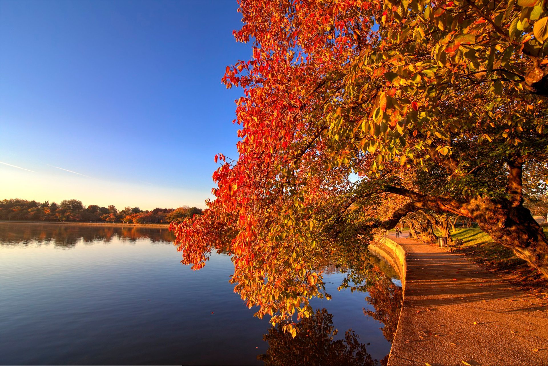 Herbstlaub in und um Washington, D.C.