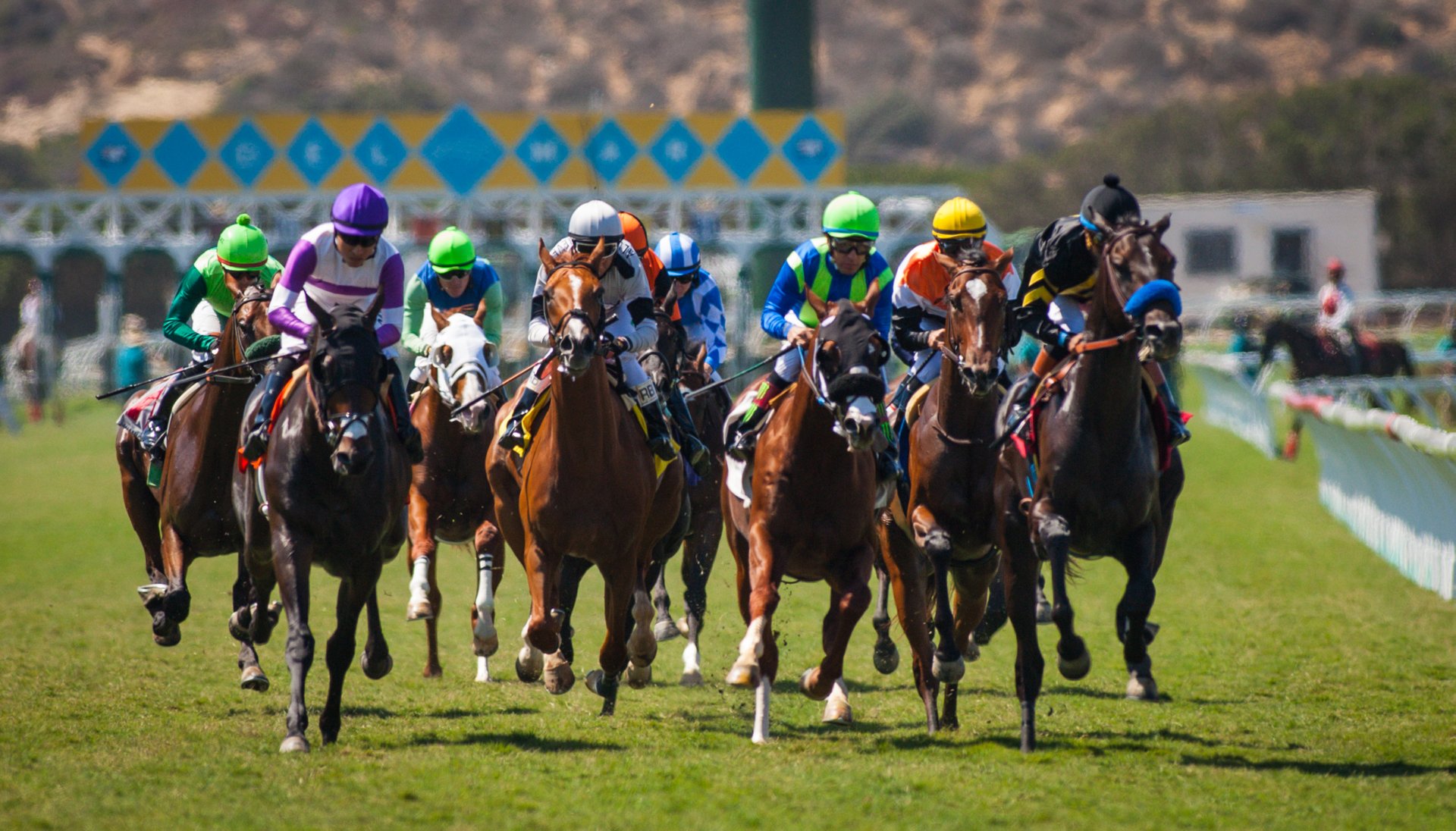 Best Time For Del Mar Racing Season In San Diego 2023 Rove me Best Time For Del Mar Racing Season In San Diego 2023 Rove me