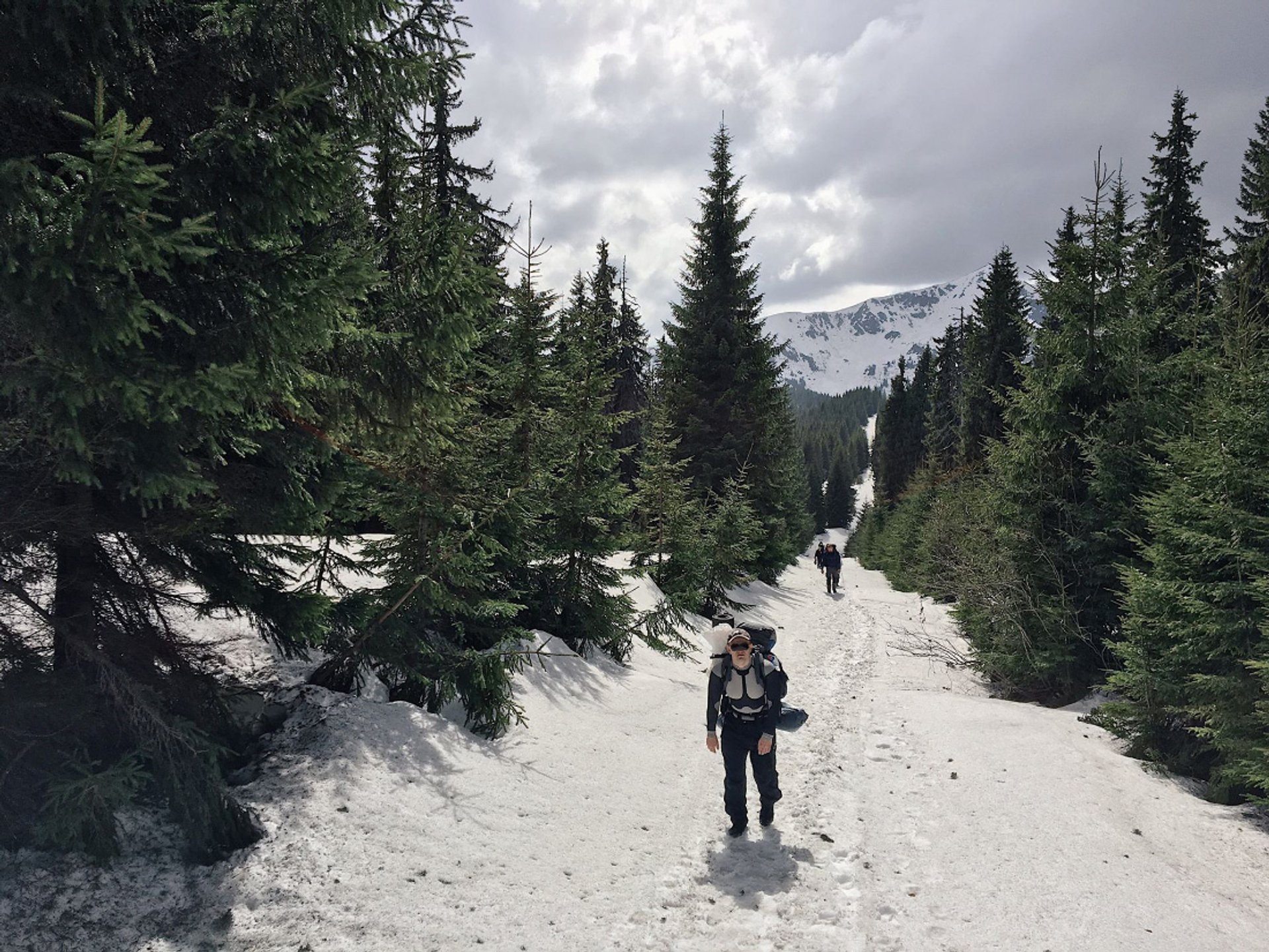 Hiking in Carpathian Mountains