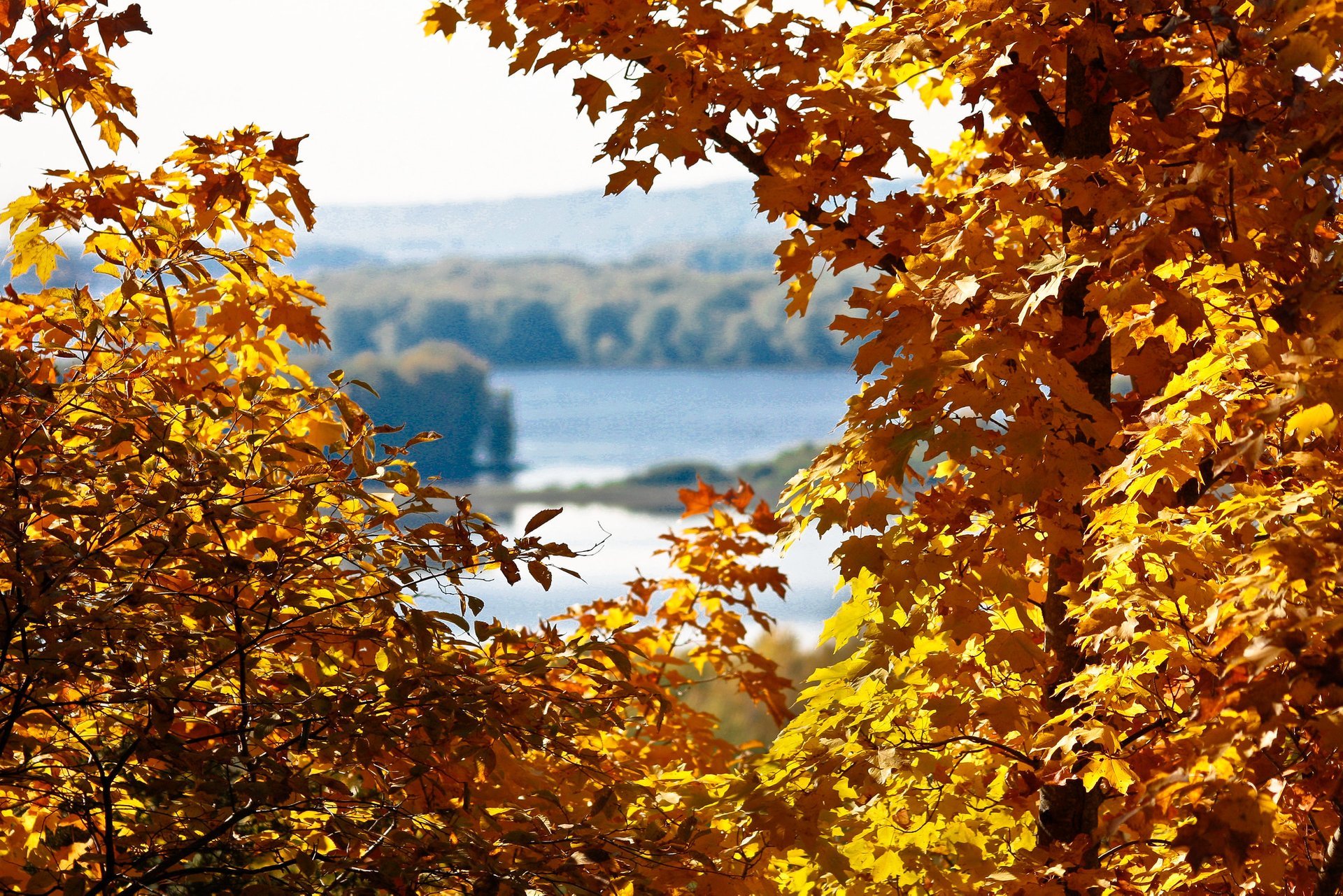 Best Time To See Illinois Fall Colors 2023 When To See Rove me