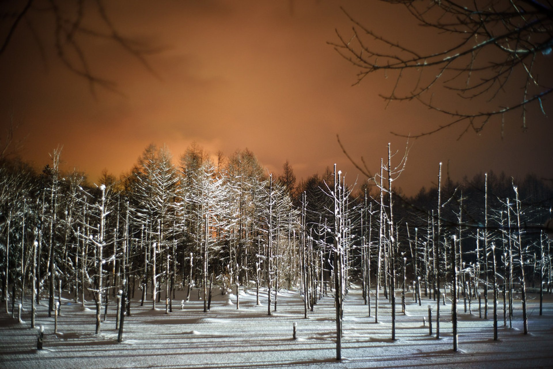 Beau Paysage Extérieur Avec Rivière D'étang Bleu La Nuit Avec Lumière Dans  La Neige Saison D'hiver À Biei Hokkaido Japon Banque D'Images et Photos  Libres De Droits. Image 124444647