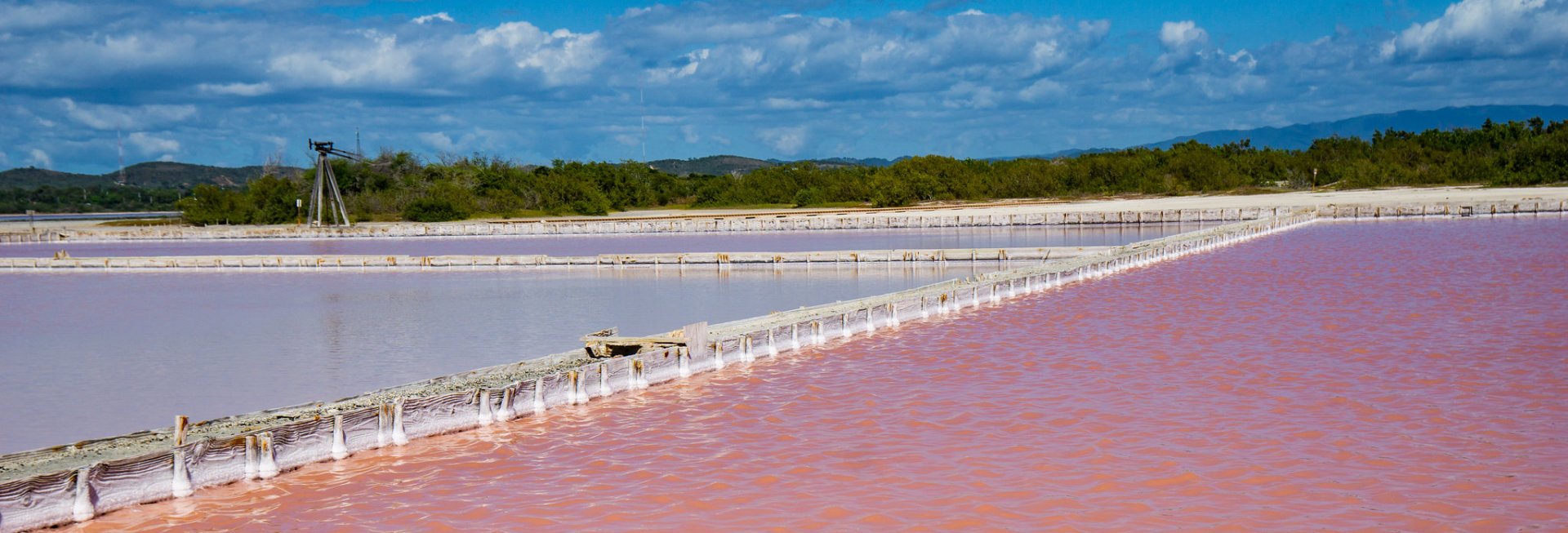 Salinas de Cabo Rojo