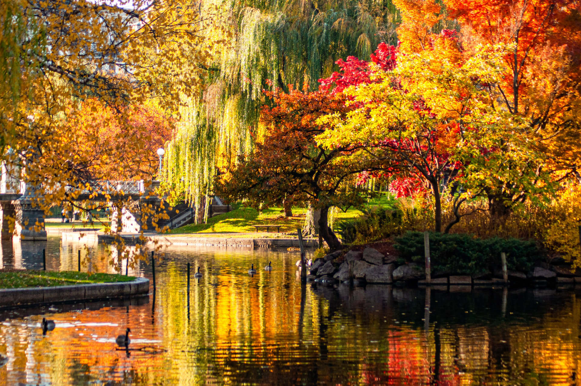 Follaje de otoño en Massachusetts