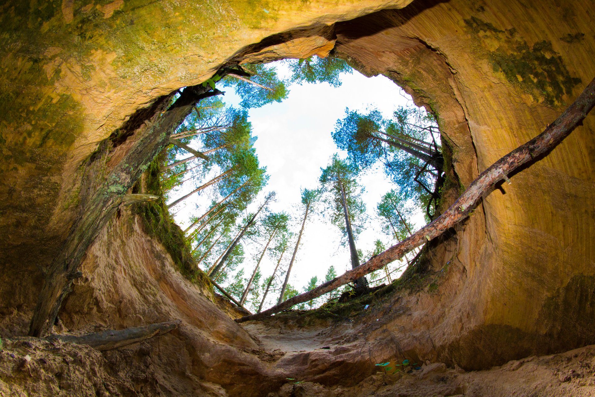 Fledermäuse in Piusa Sandhöhlen