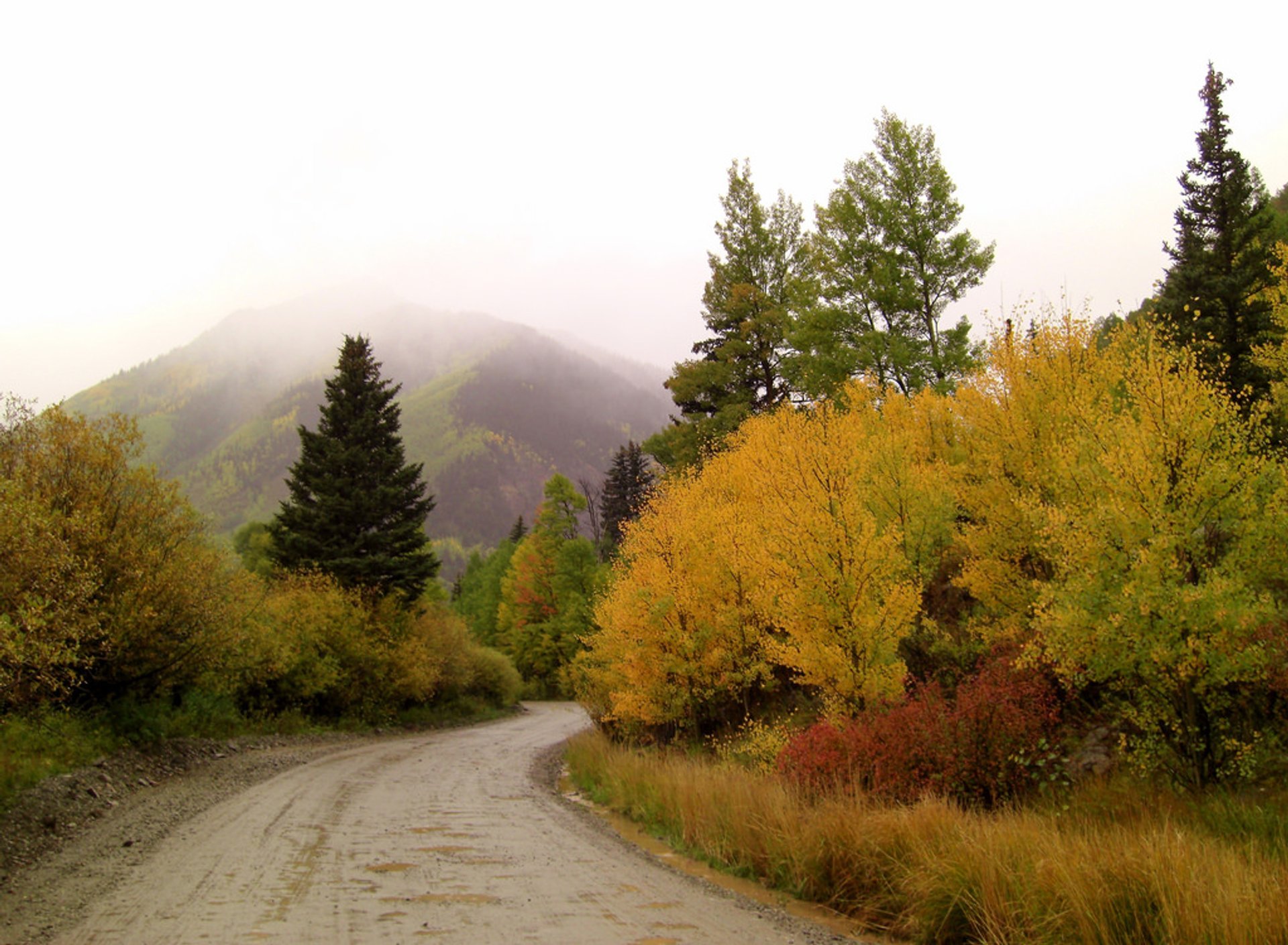 Ruta panorámica Alpina