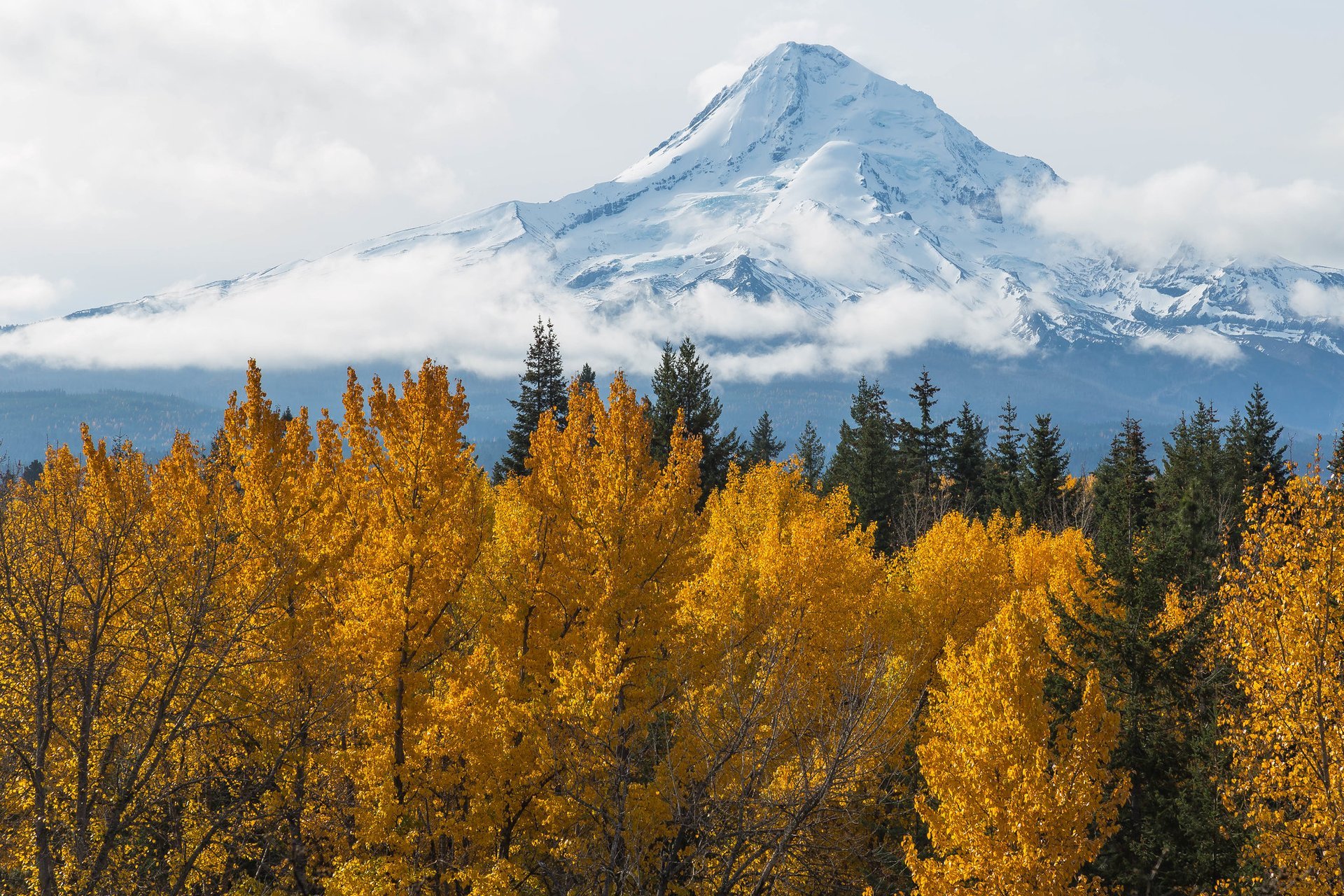 Colores de otoño de Oregon
