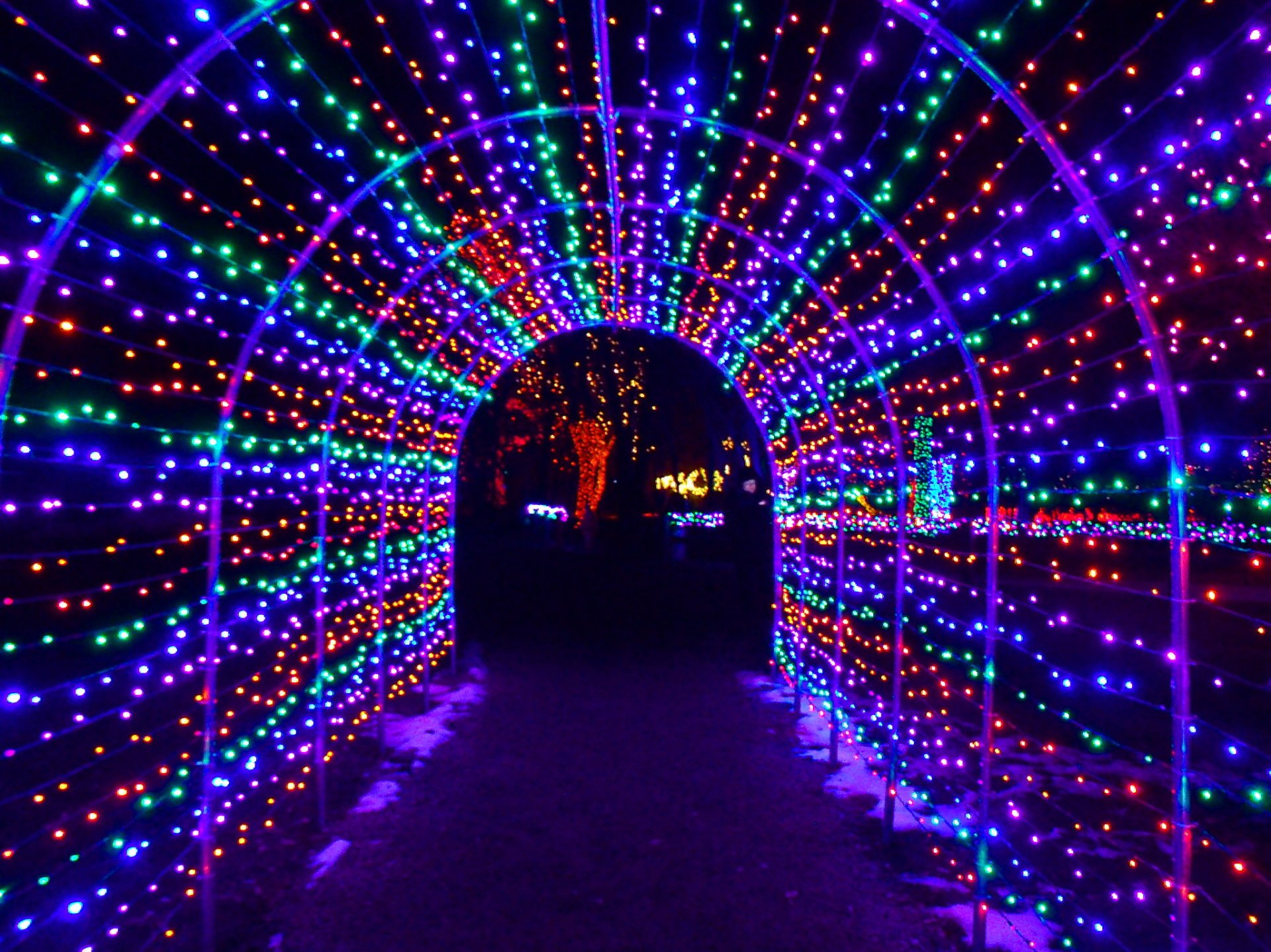 Colorado Christmas Lights