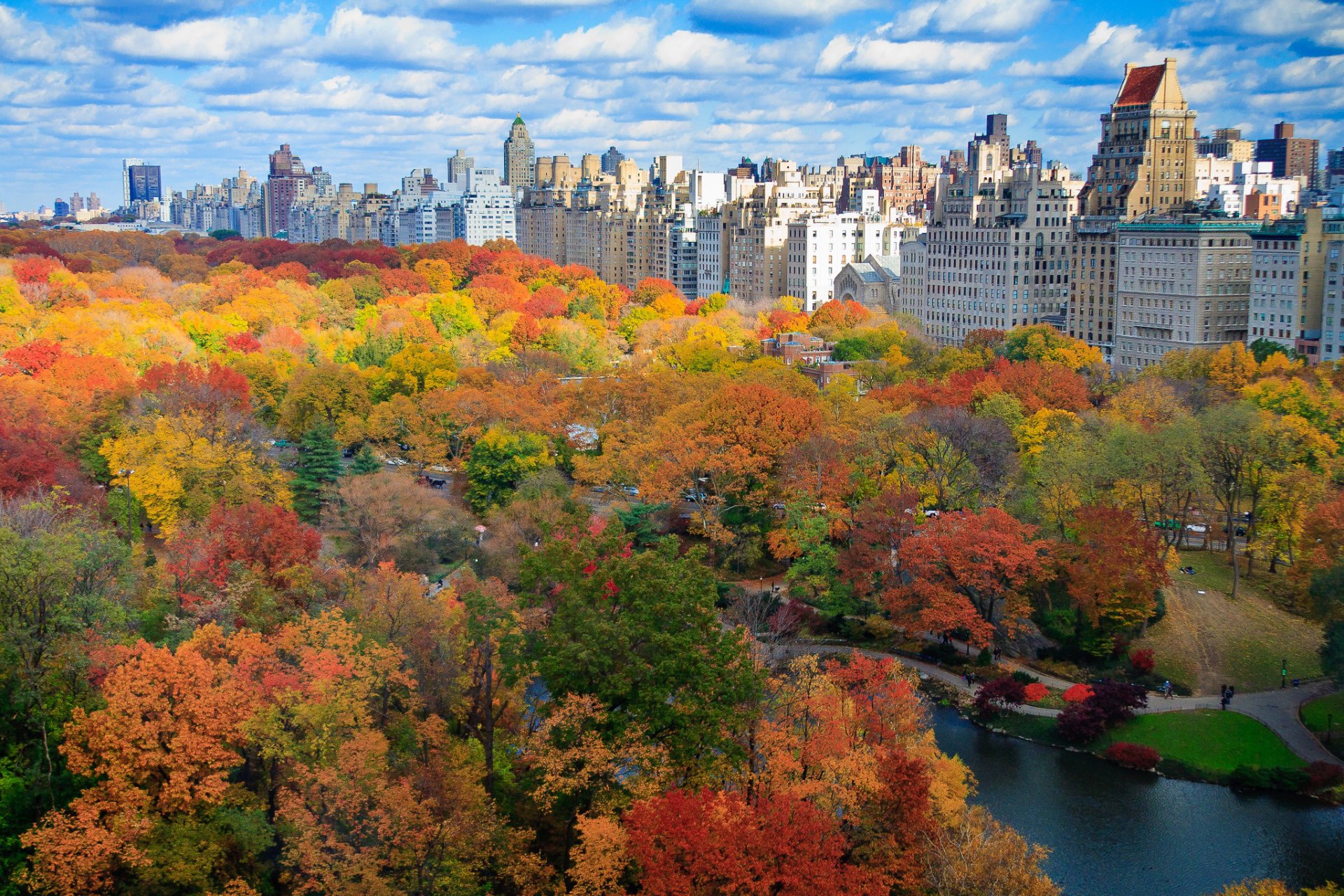 Fall Foliage New York City