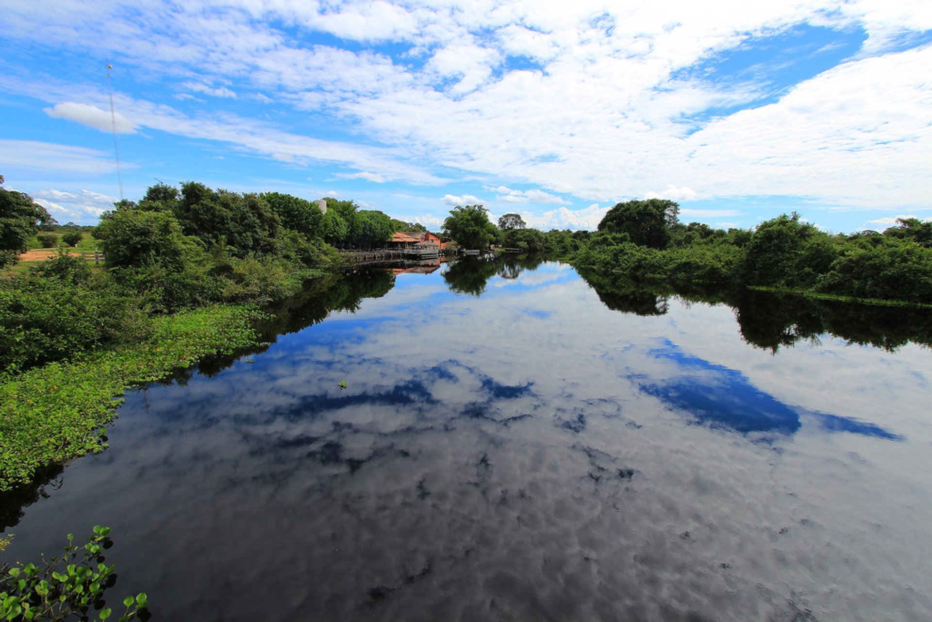 Pantanal