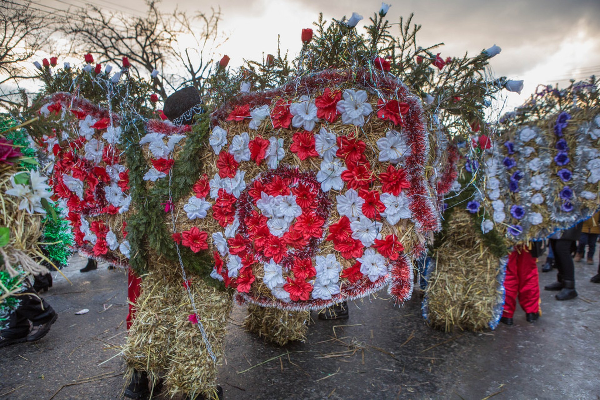 Krasna Malanka (Ukrainische Silvesternacht)