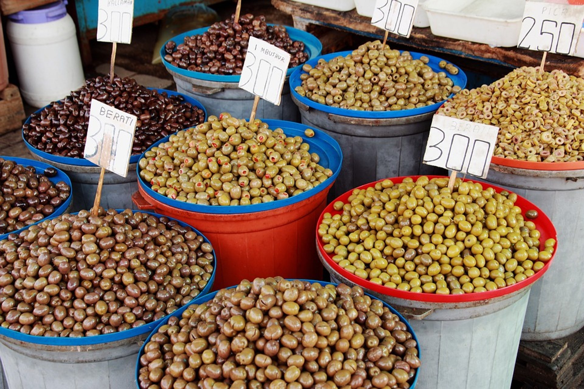 Cosecha de aceitunas