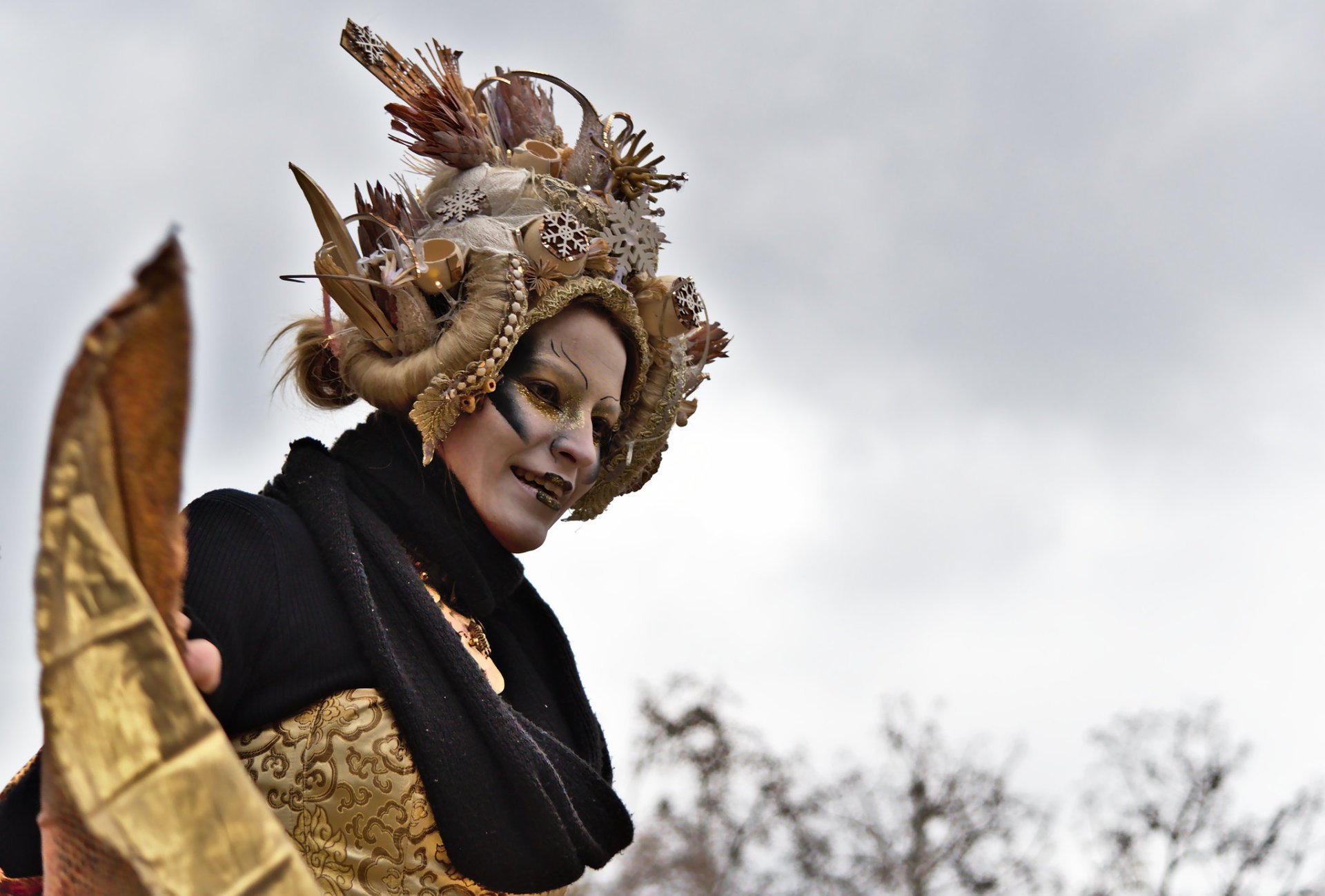 Épinglé sur Masopust, karneval