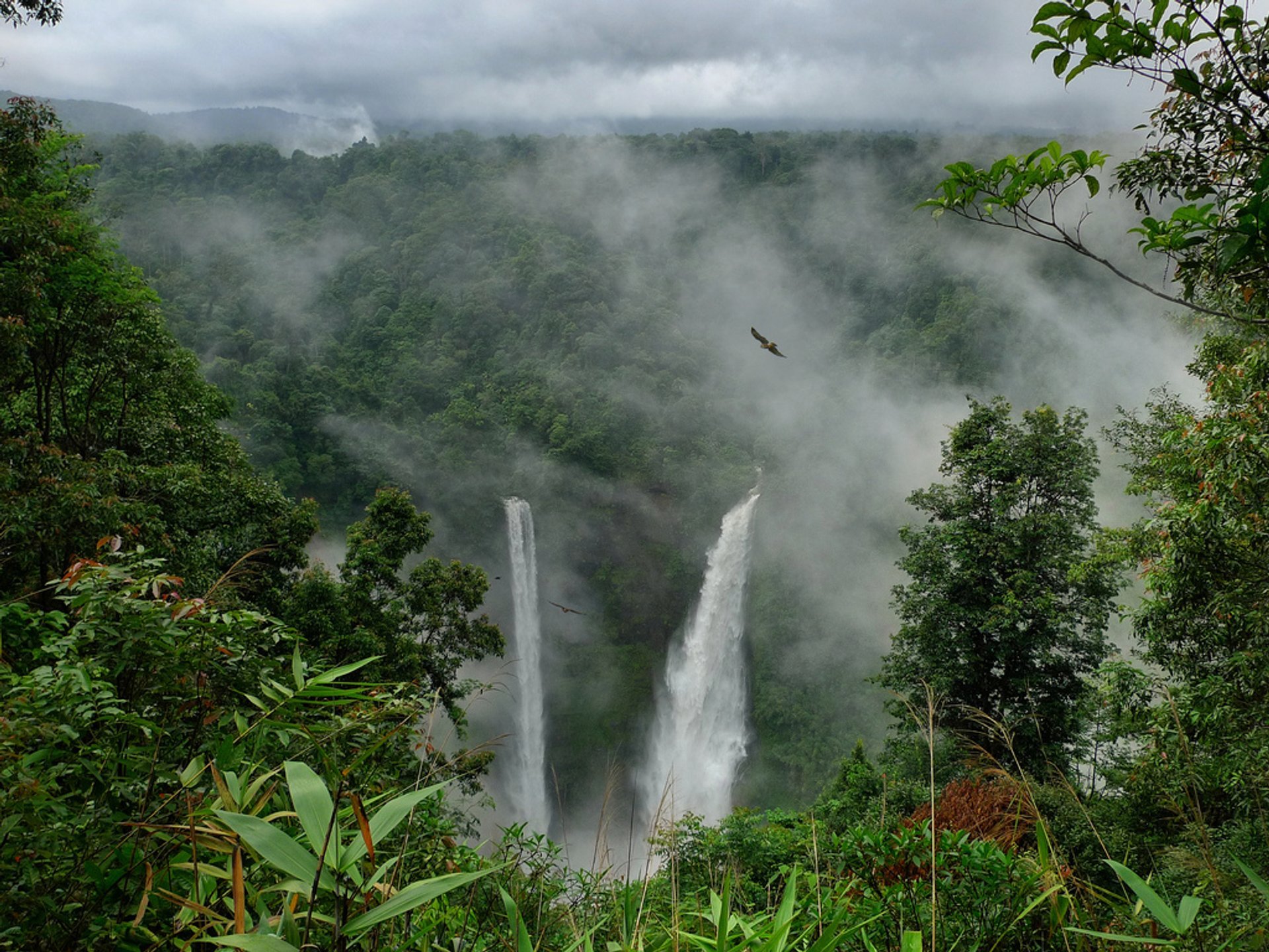 Trekking vers Bolaven Plateau & Tad Fane Cascade