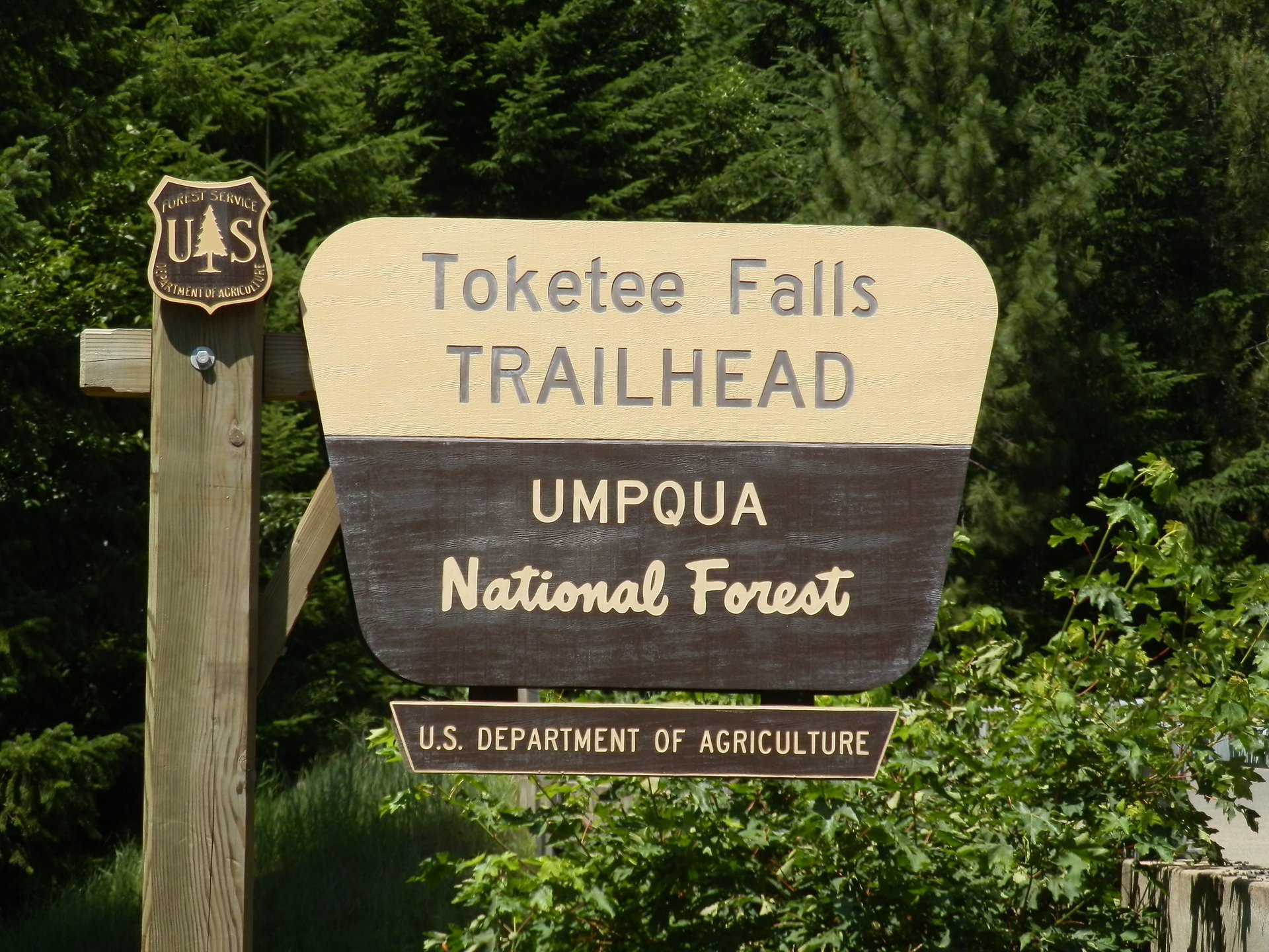 Toketee Falls