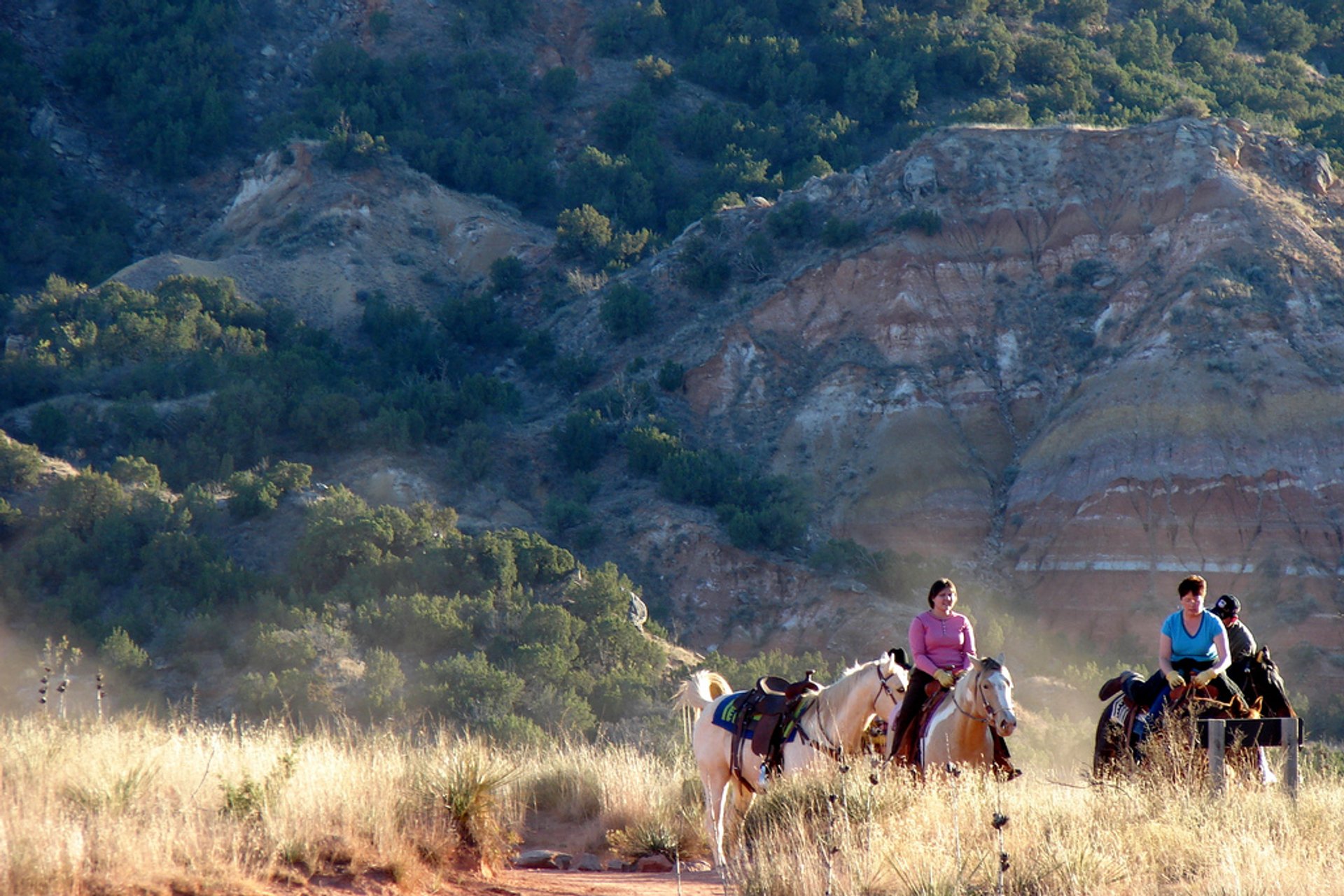 Horseback Riding