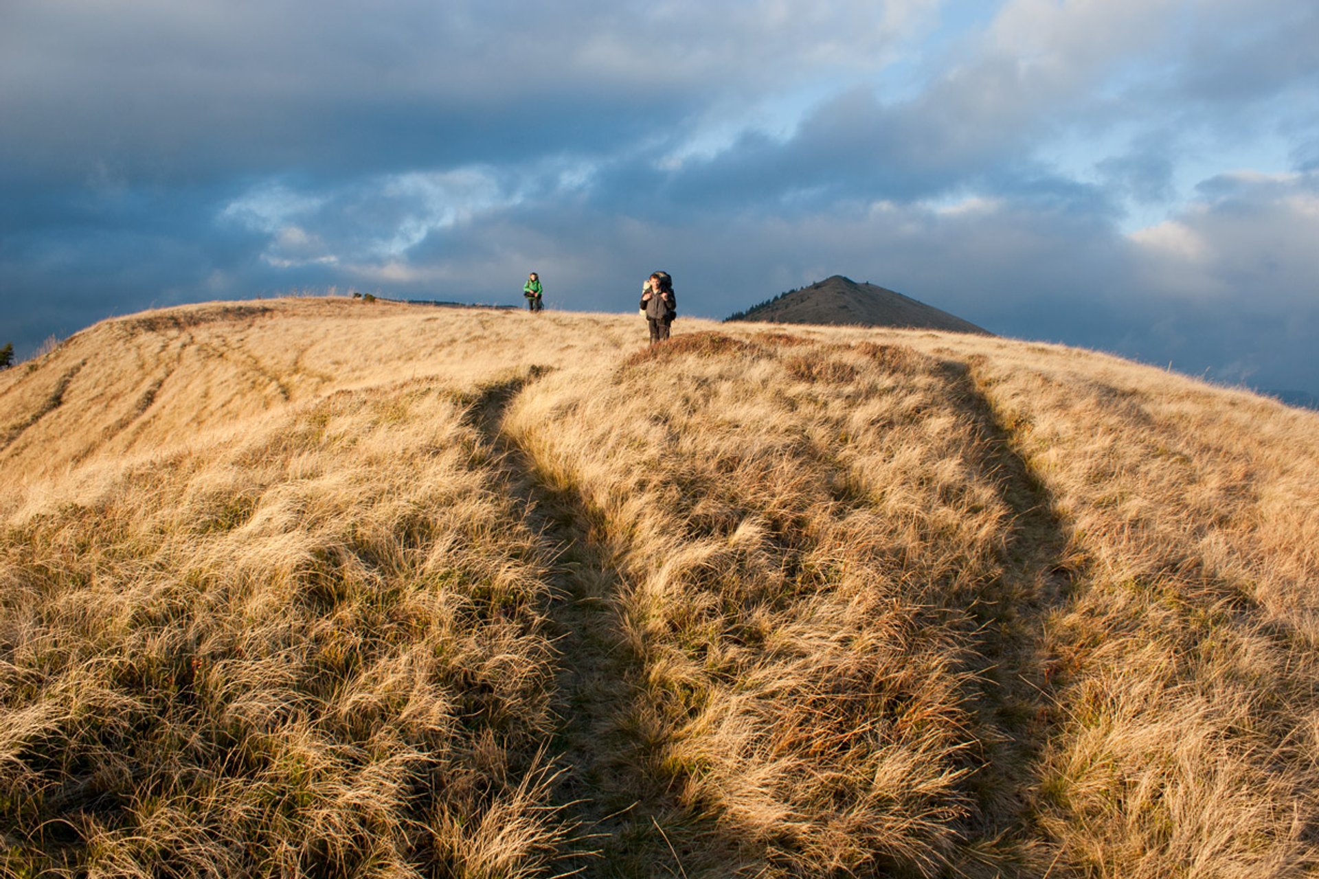 Hiking in Carpathian Mountains