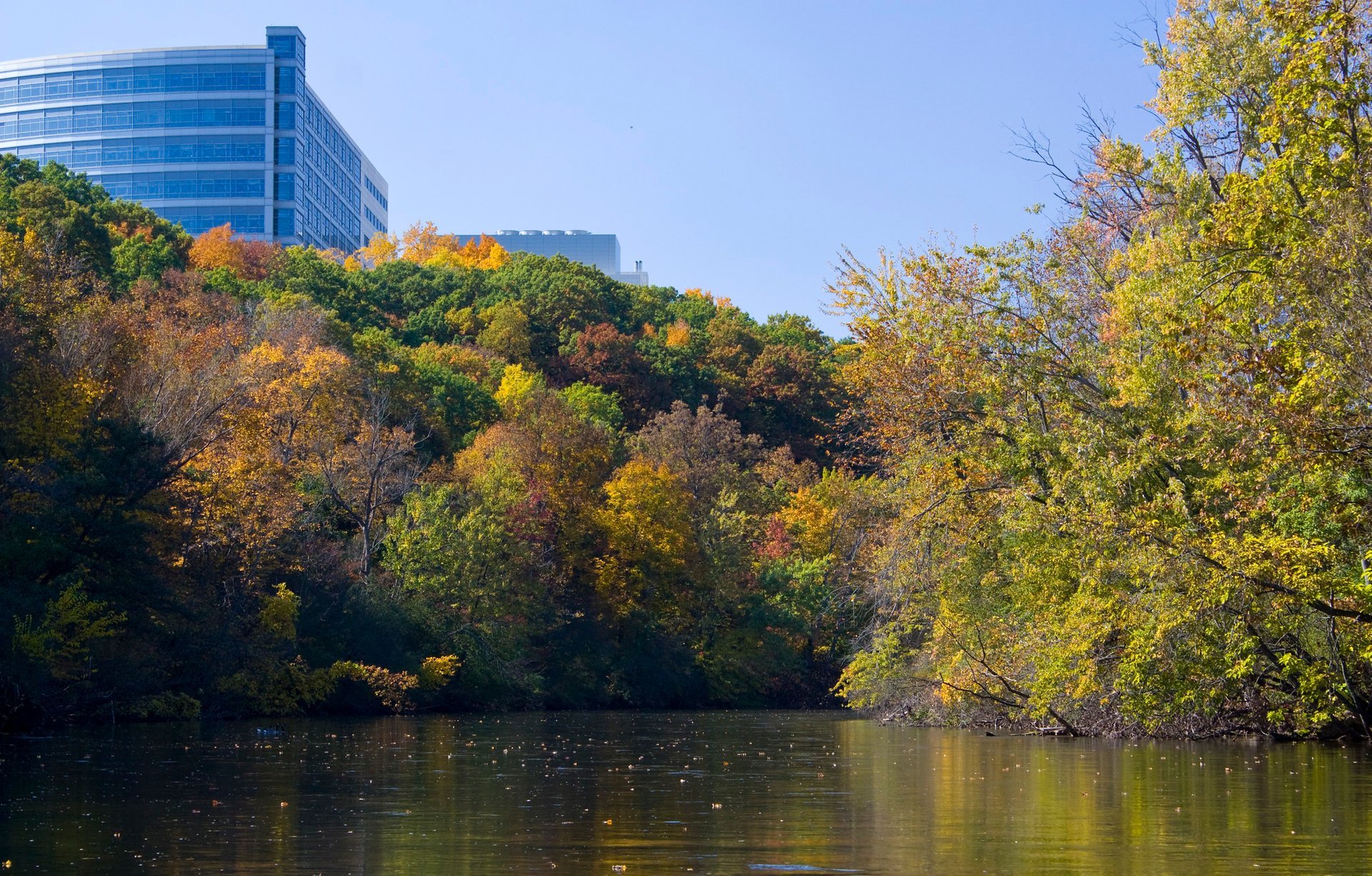 Cores do Outono em Ann Arbor