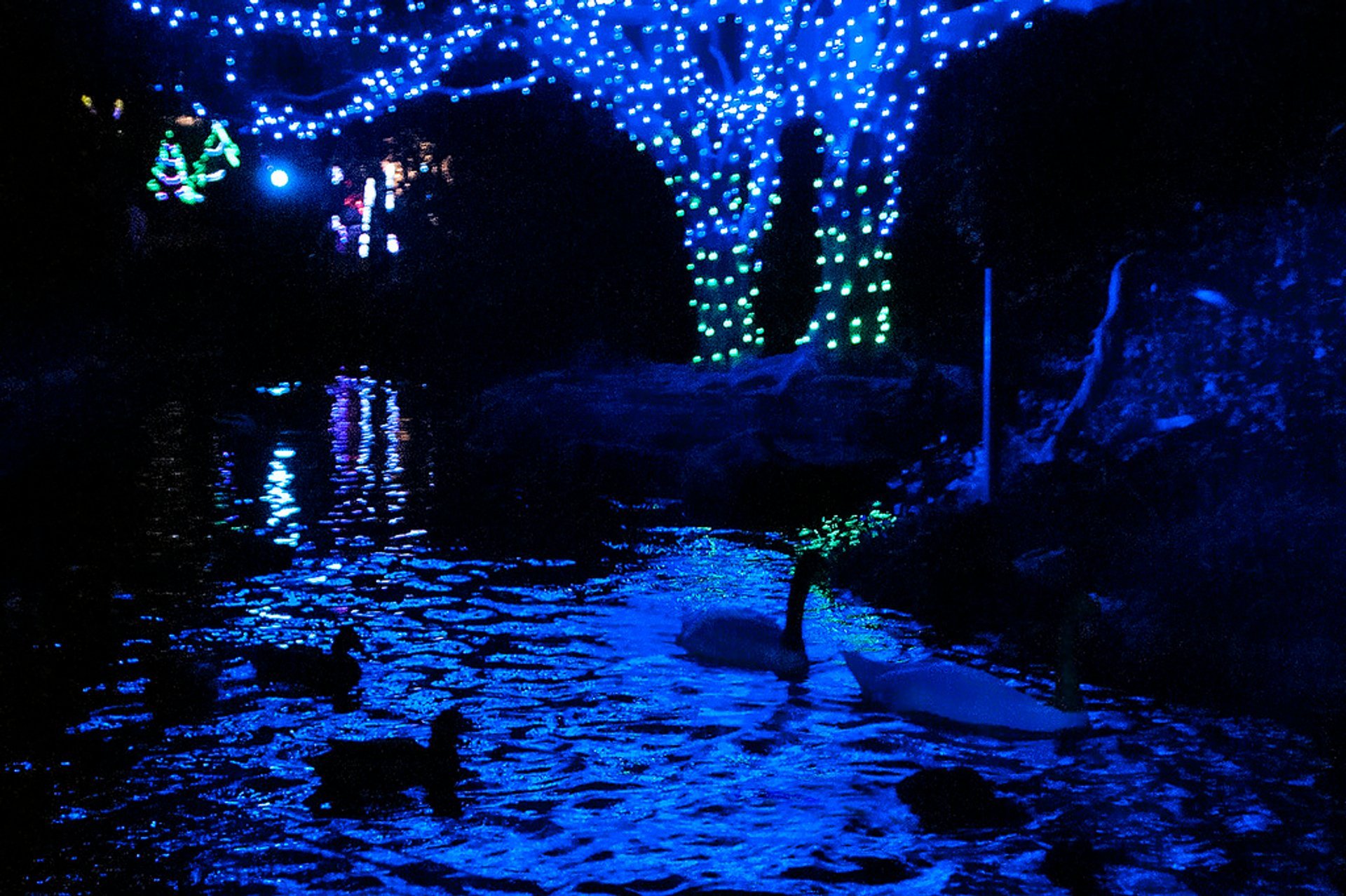 LA Zoo Lights