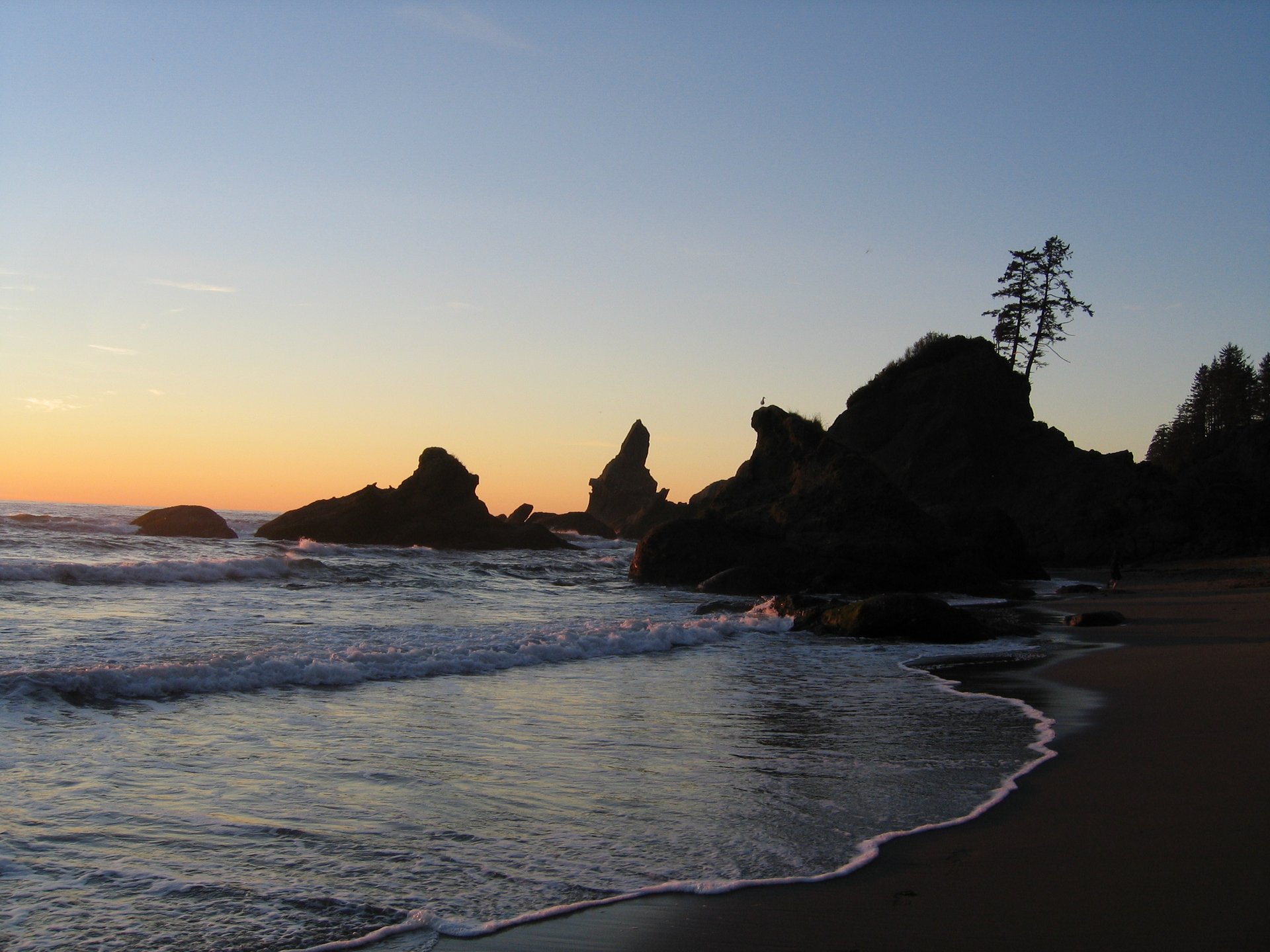 Best time for Shi Shi Beach in Washington 2024 Best Season