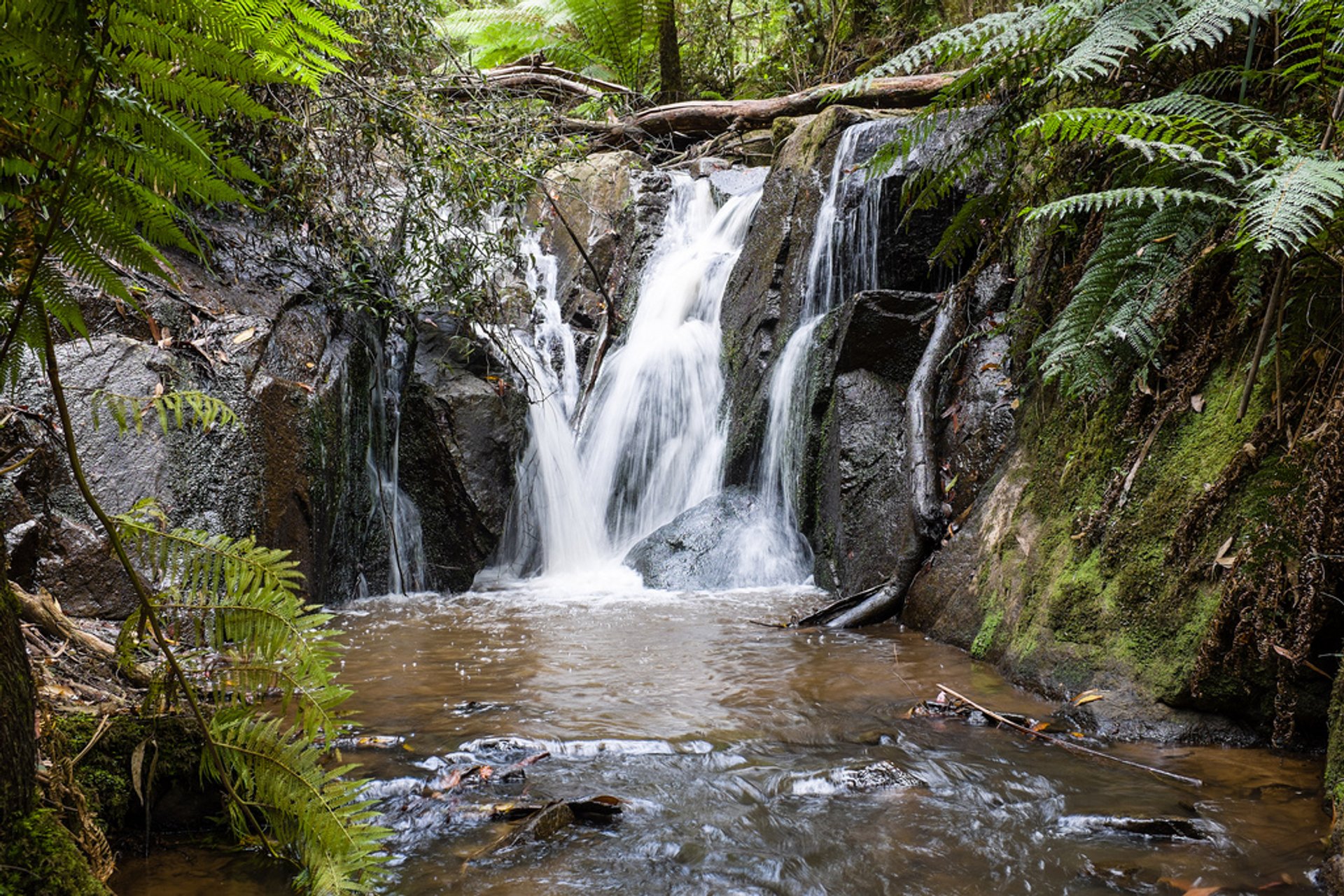 Cascadas cerca de Melbourne