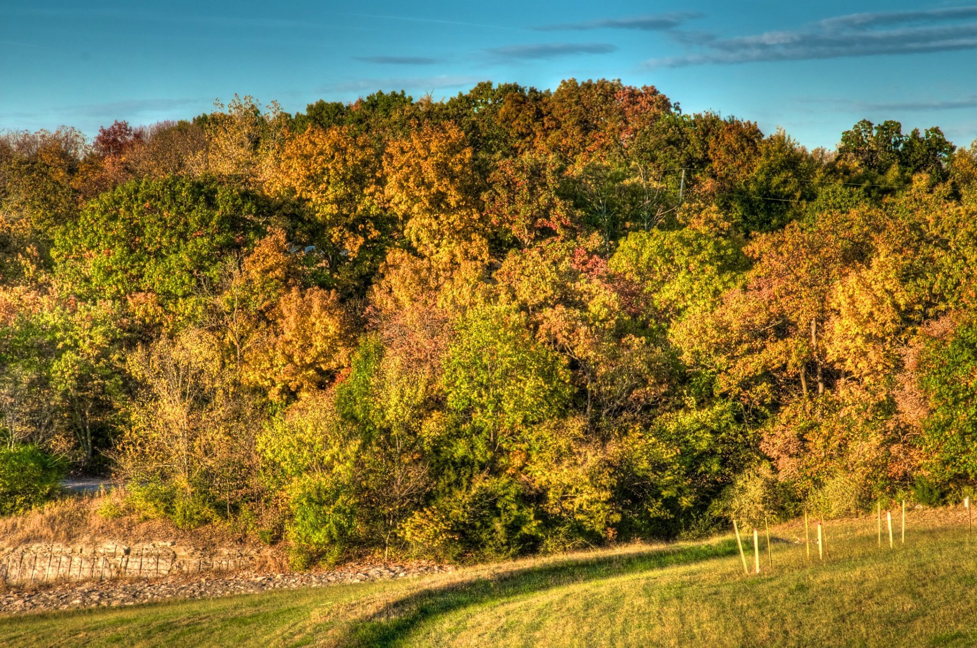 Colores de otoño