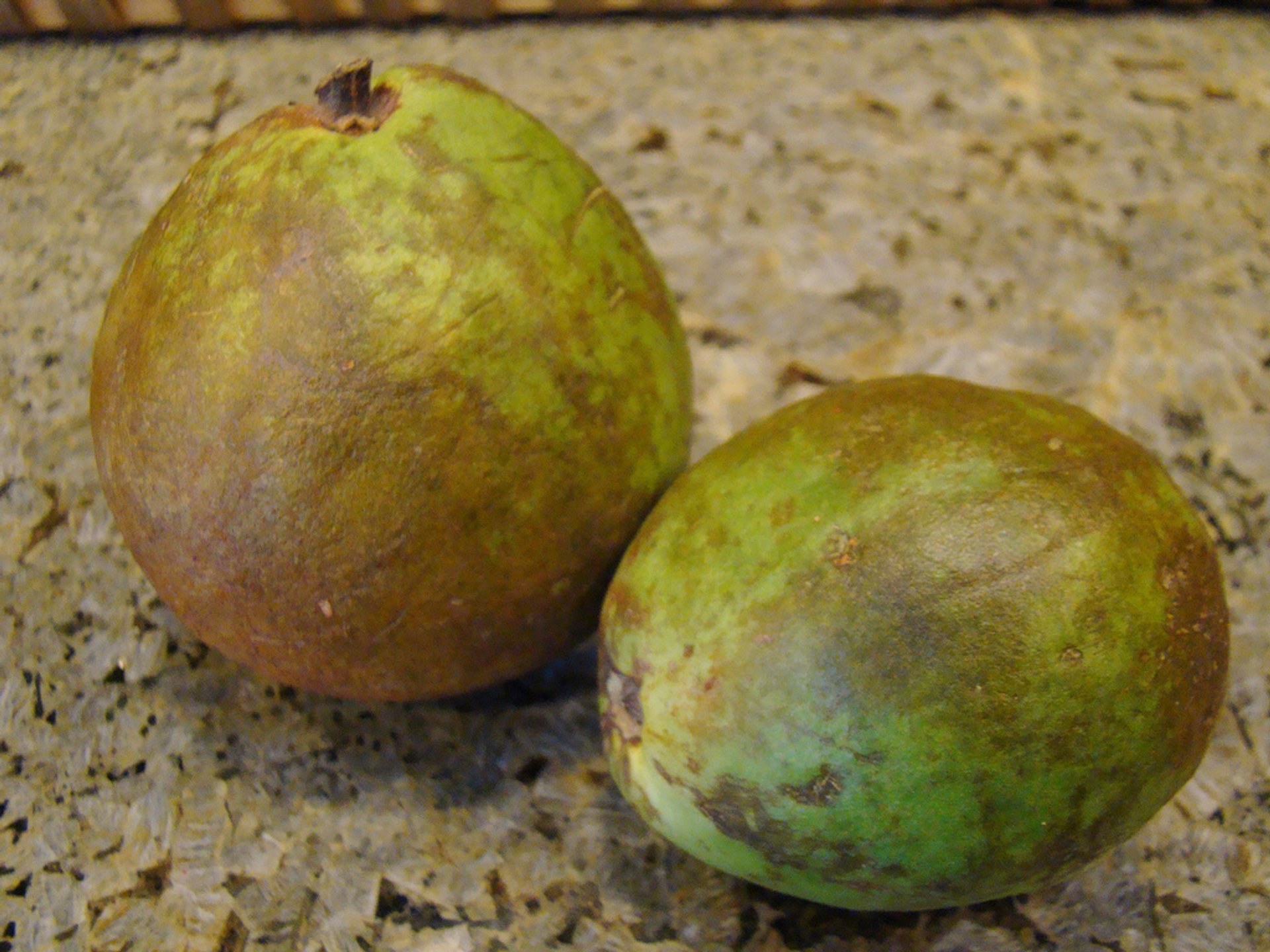 Guava ou Guayaba