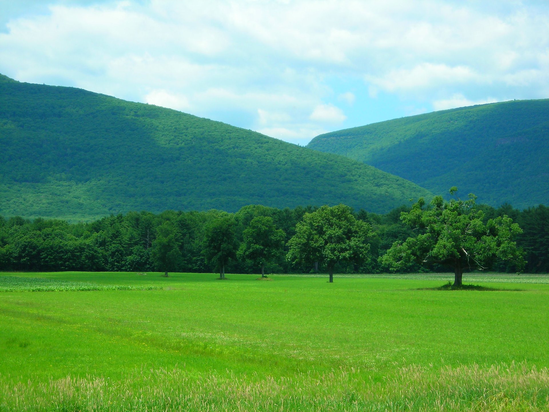 The Catskill Mountains (The Catskills)
