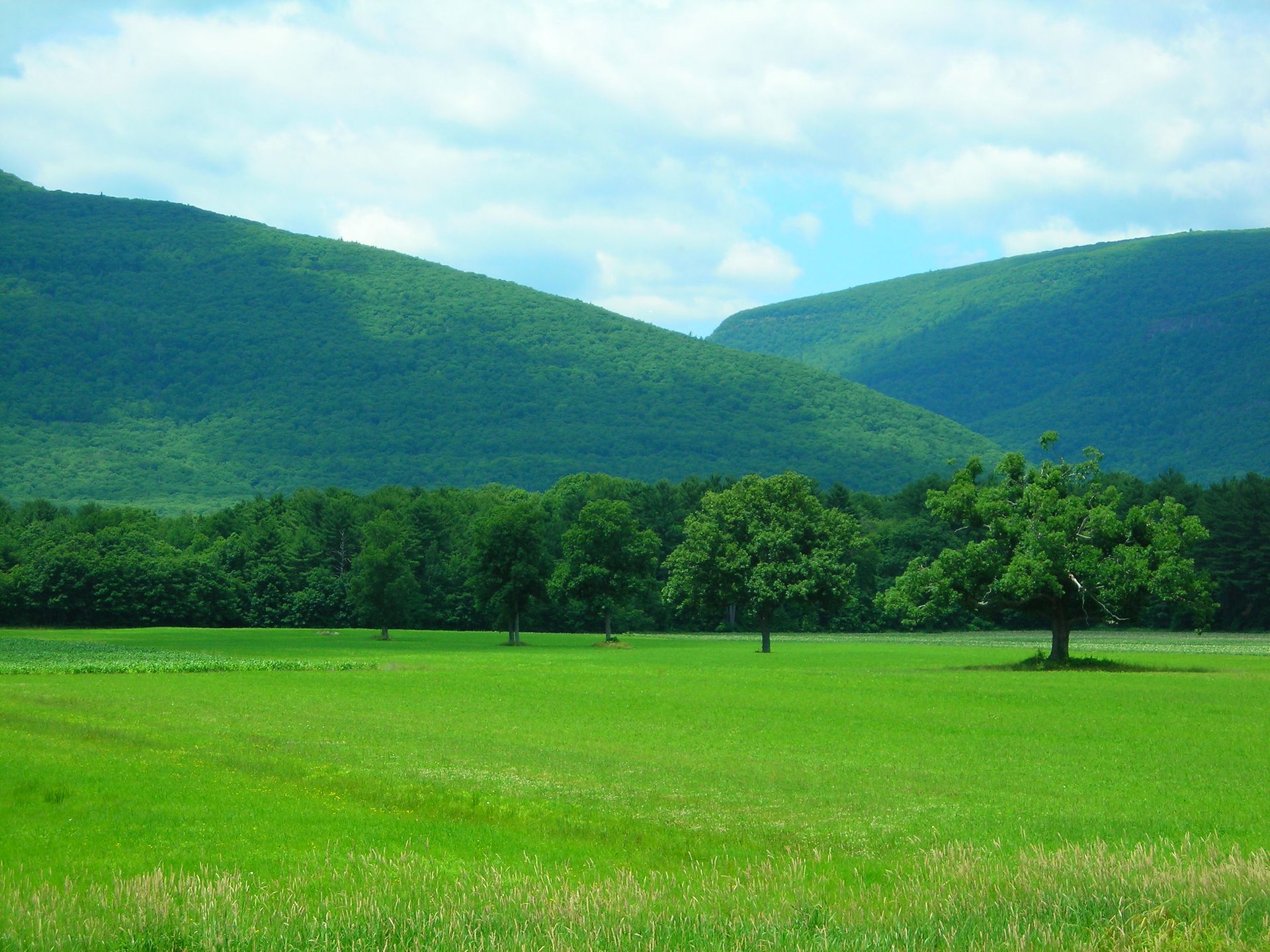 Catskill Mountains