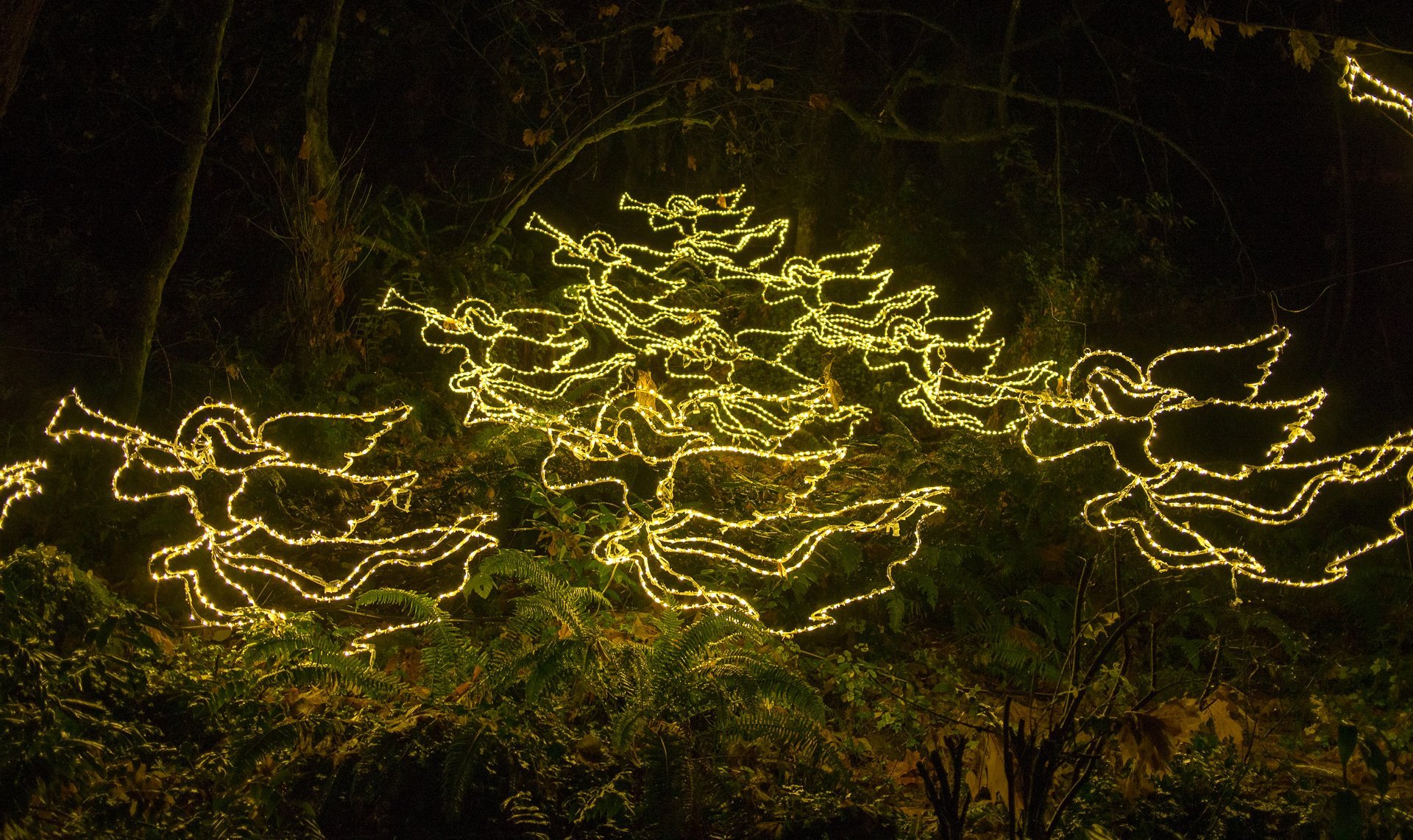 Luzes de Natal de Oregon