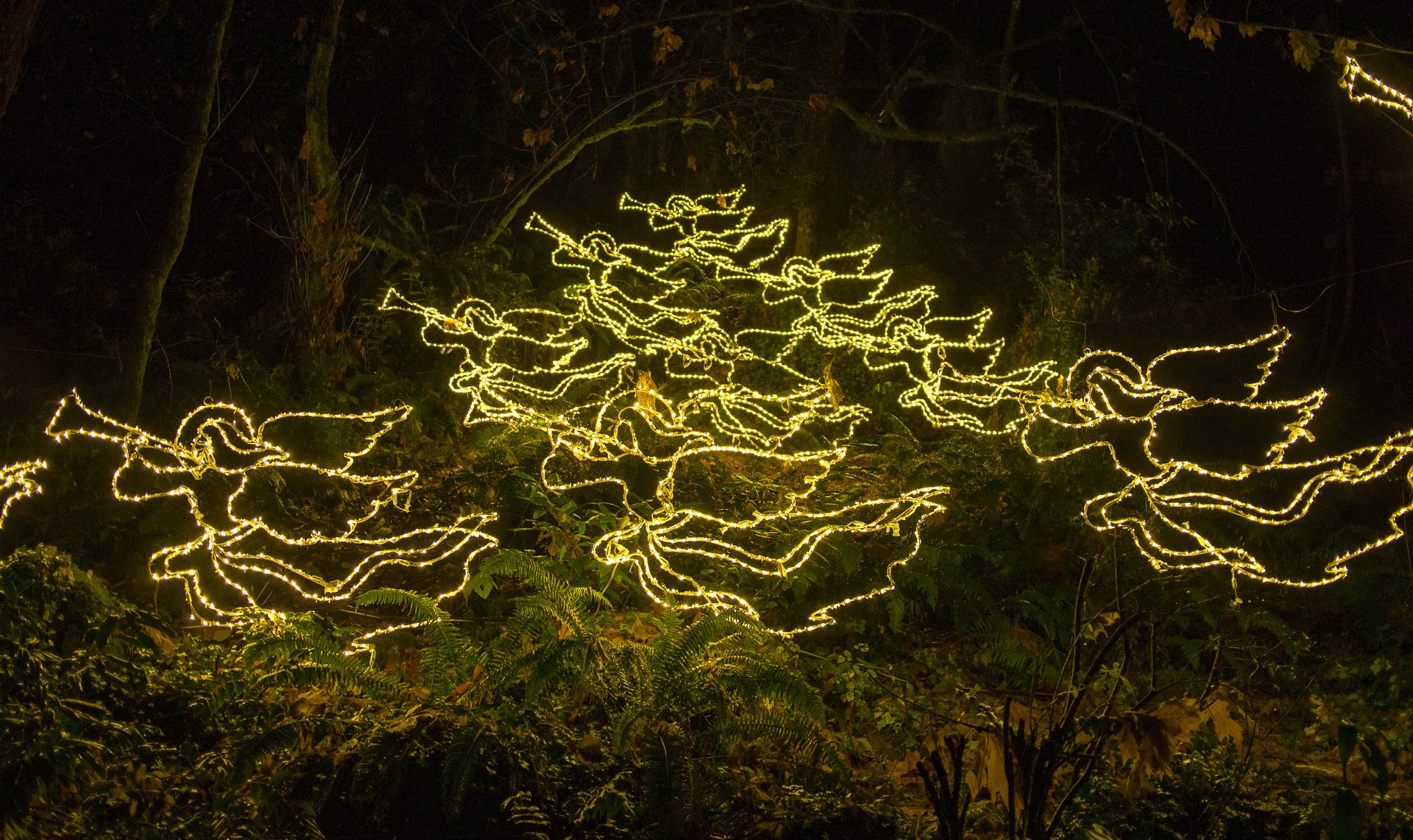 Lumières de Noël de l'Oregon