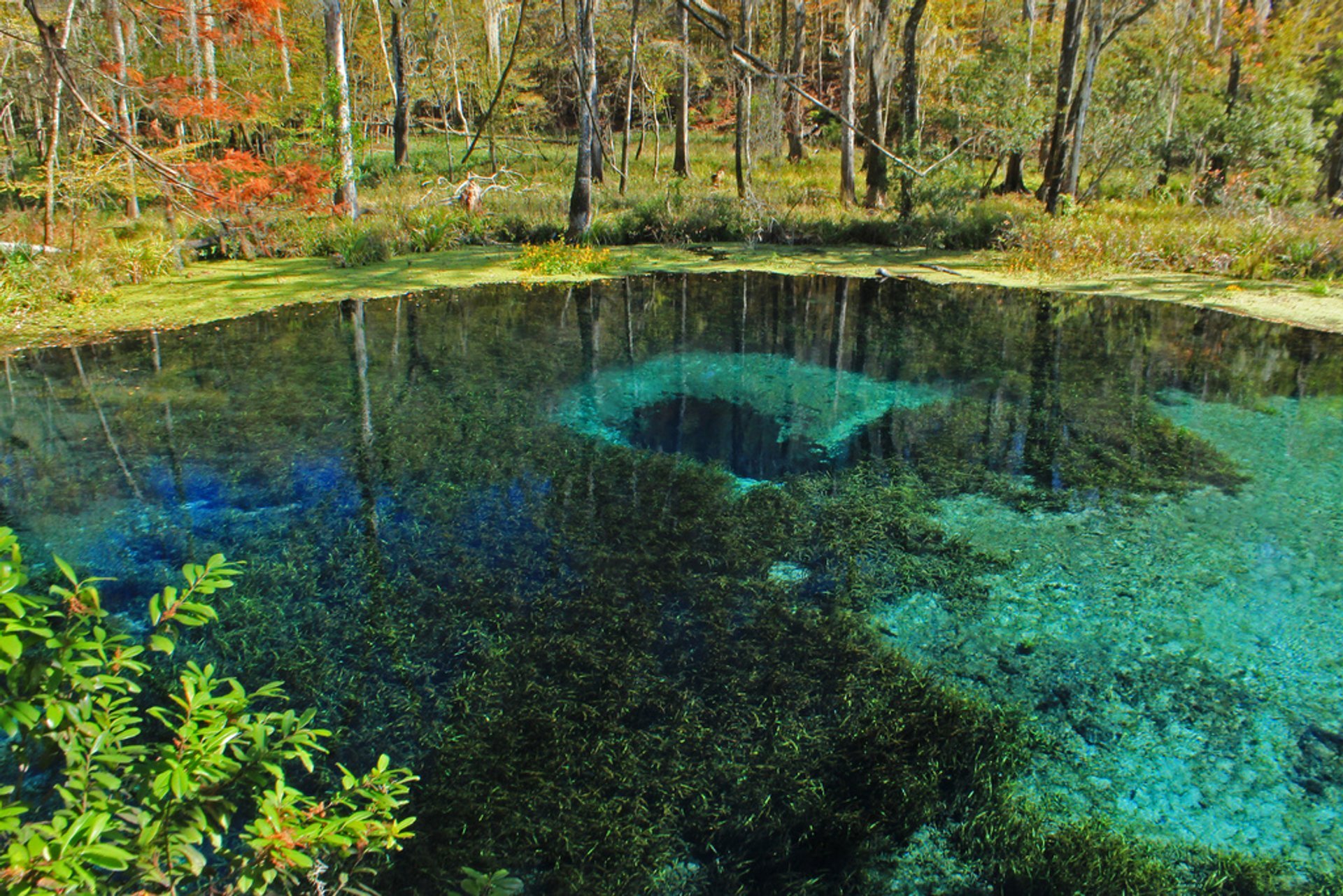 Ichetucknee Blue Hole