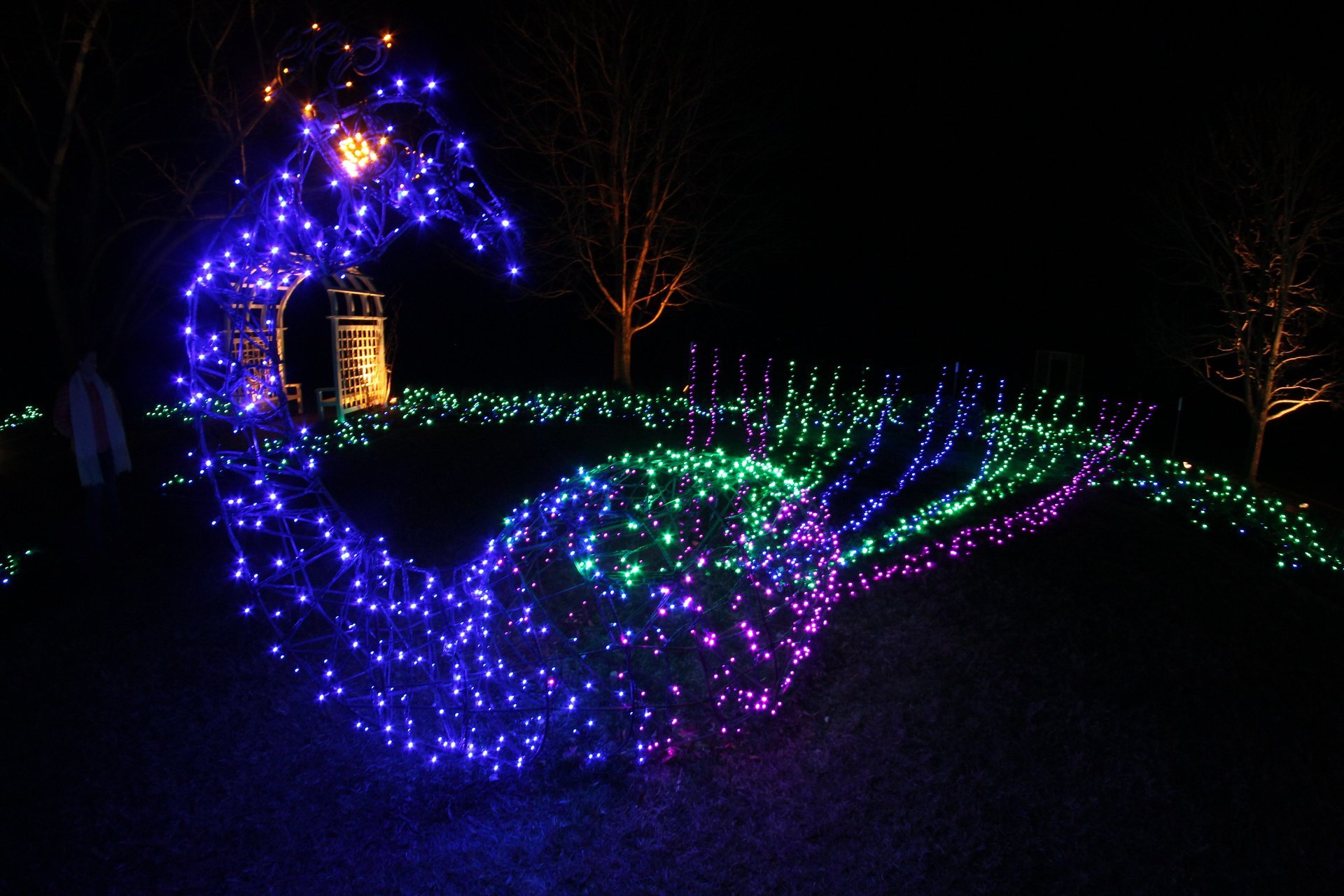 Lumières de Noël à travers la Virginie