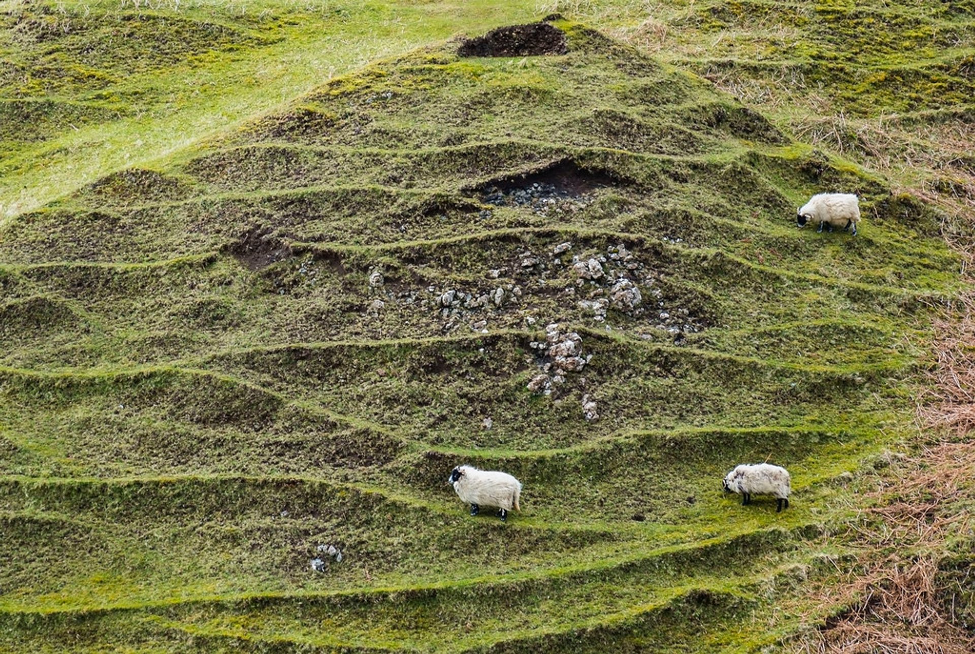 Fairy Glen